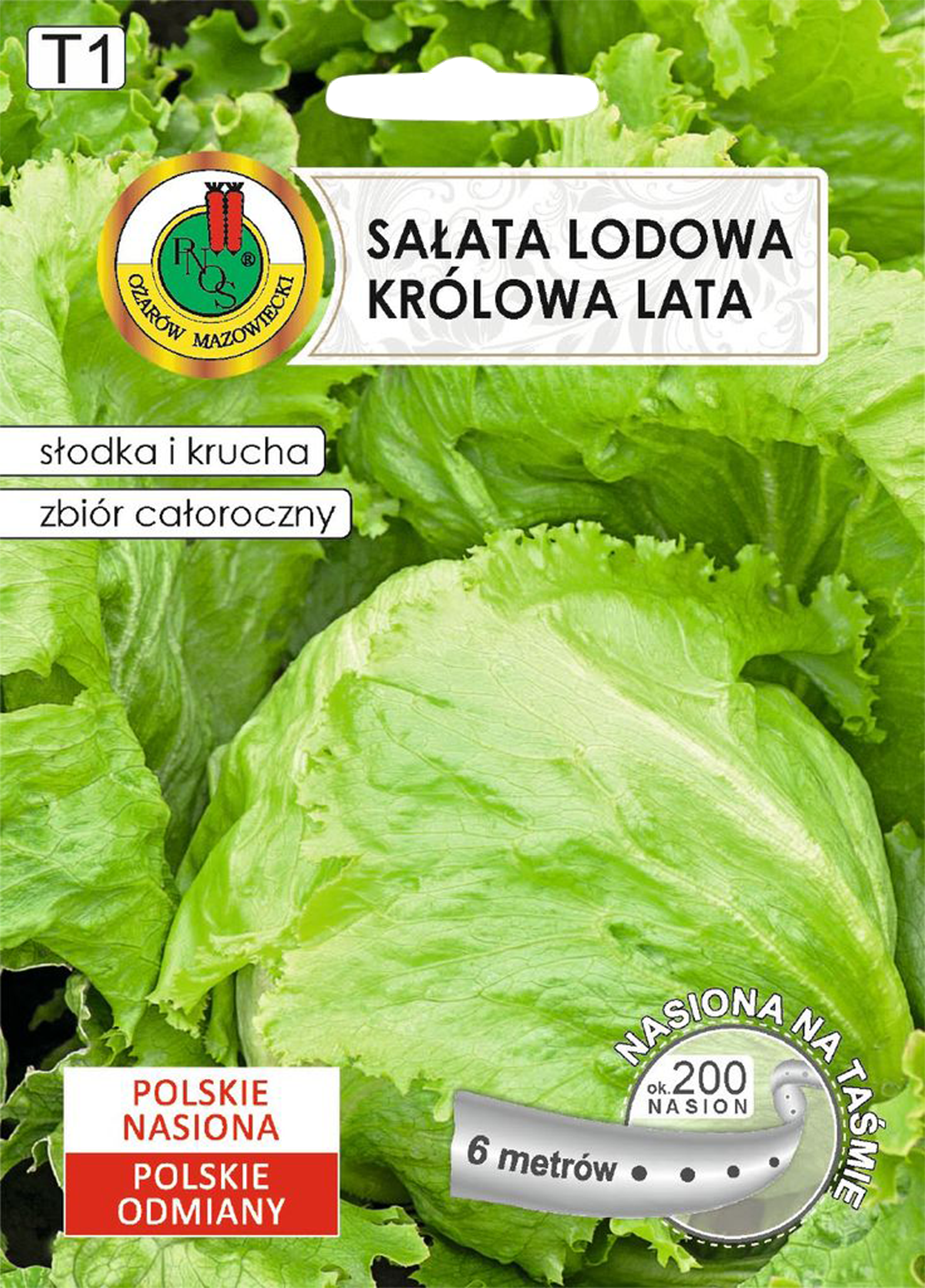 Sałata lodowa krucha Królowa lata nasiona na taśmie 6m Pnos
