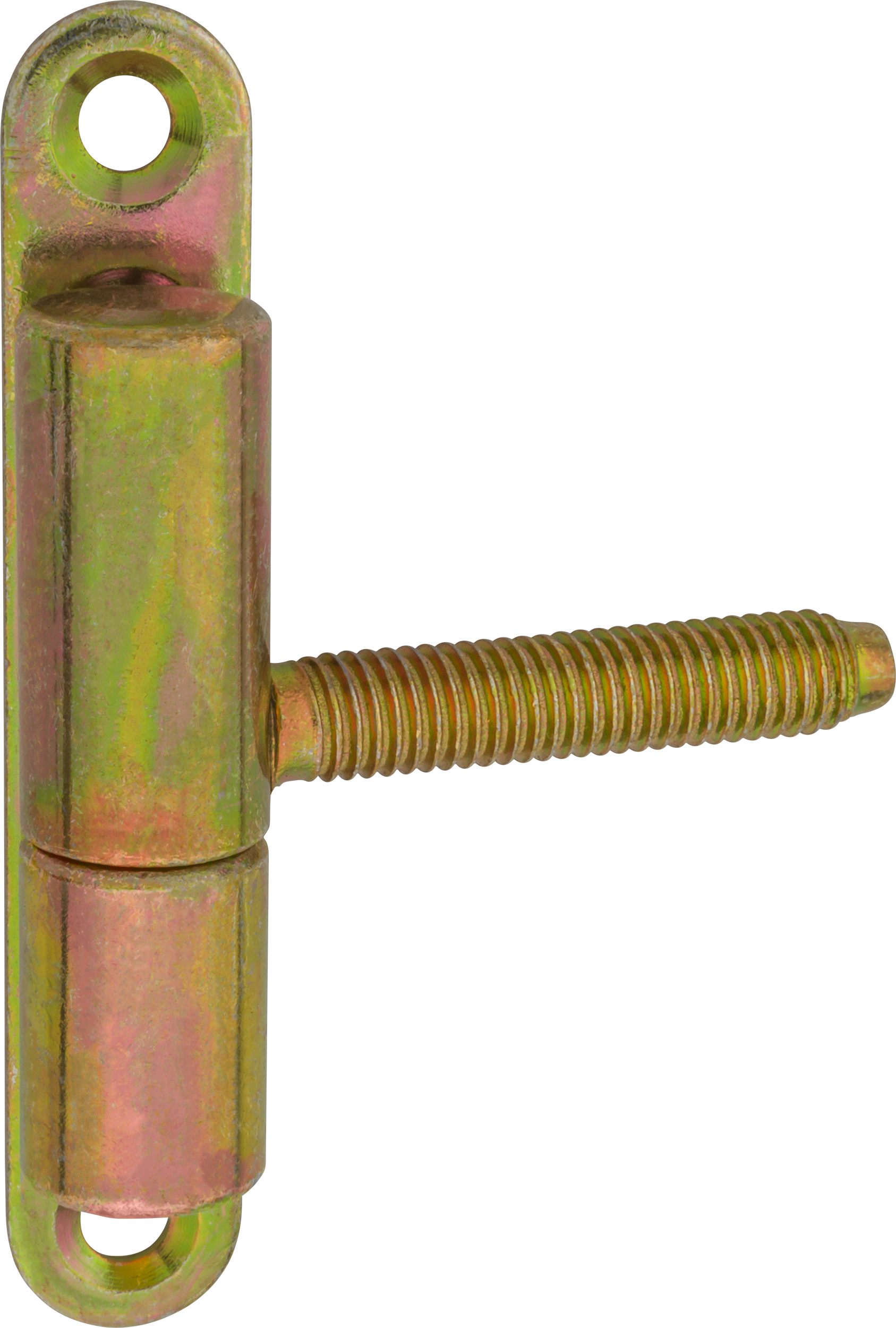 Zawias drzwiowy przykręcano-wkręcany 14 x 60 mm Żółty 2 szt