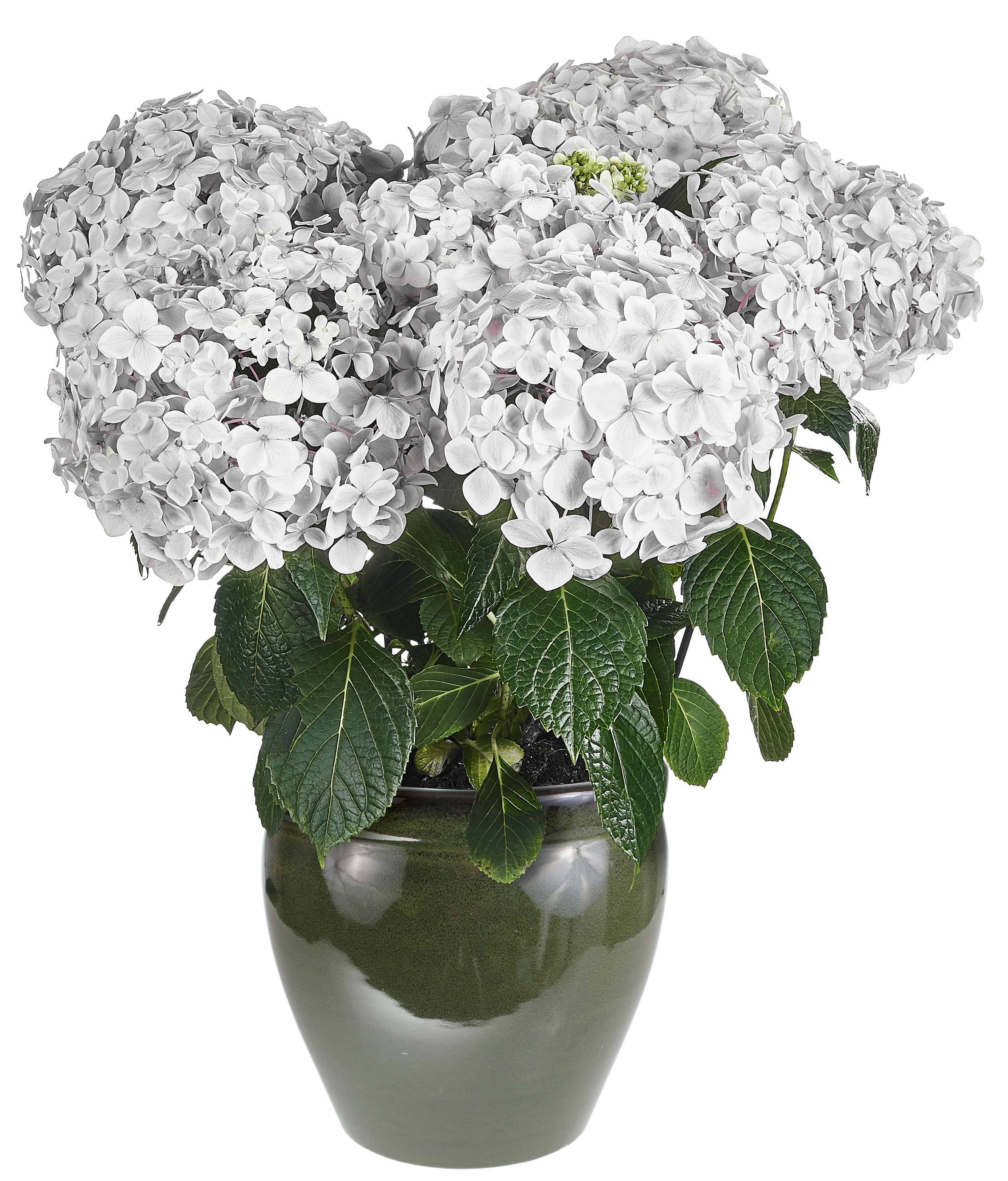 Donica szkliwiona śr.33 cm mrozoodporna zielona Cermax - 2