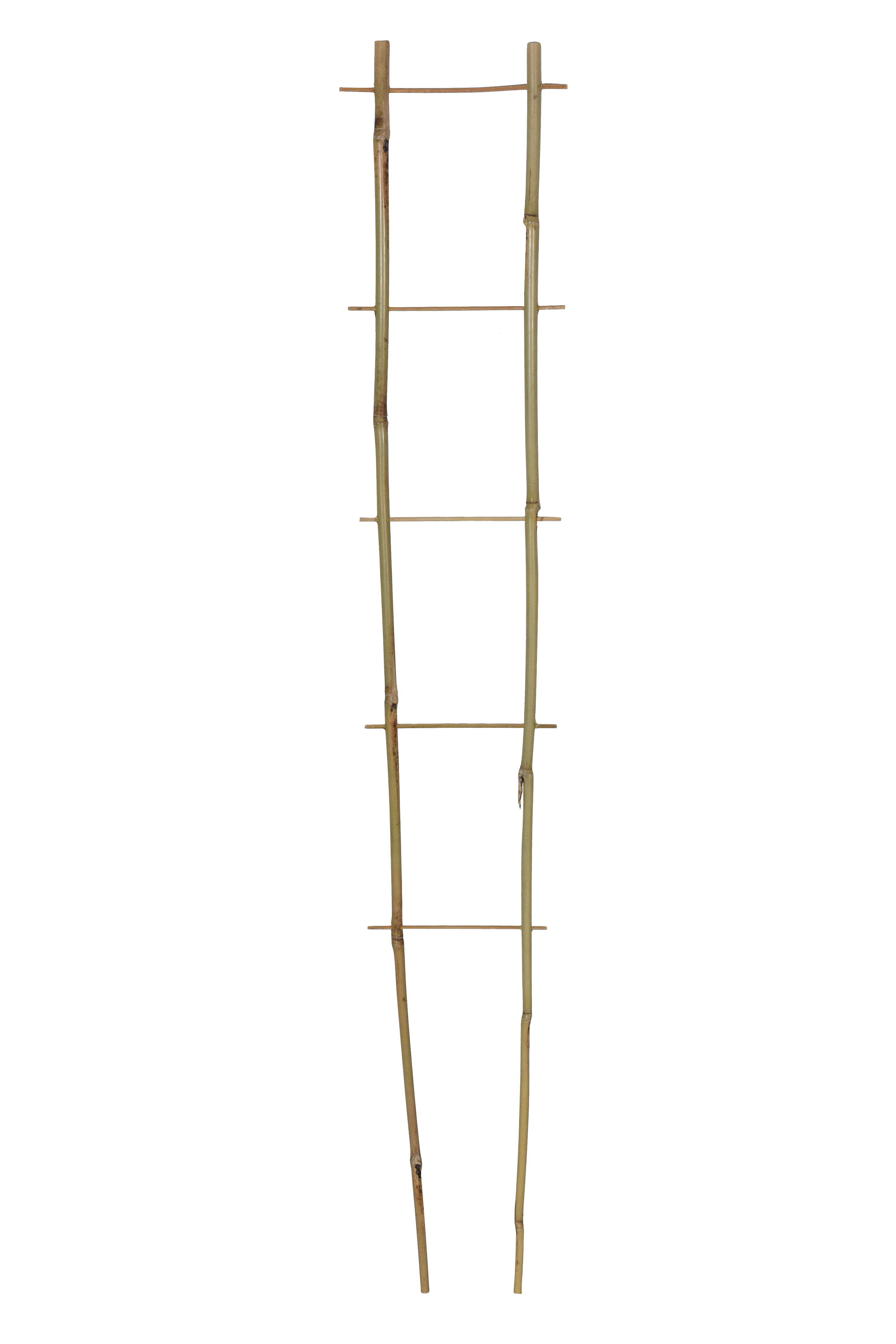 Drabinka bambusowa 150x40 cm - 2
