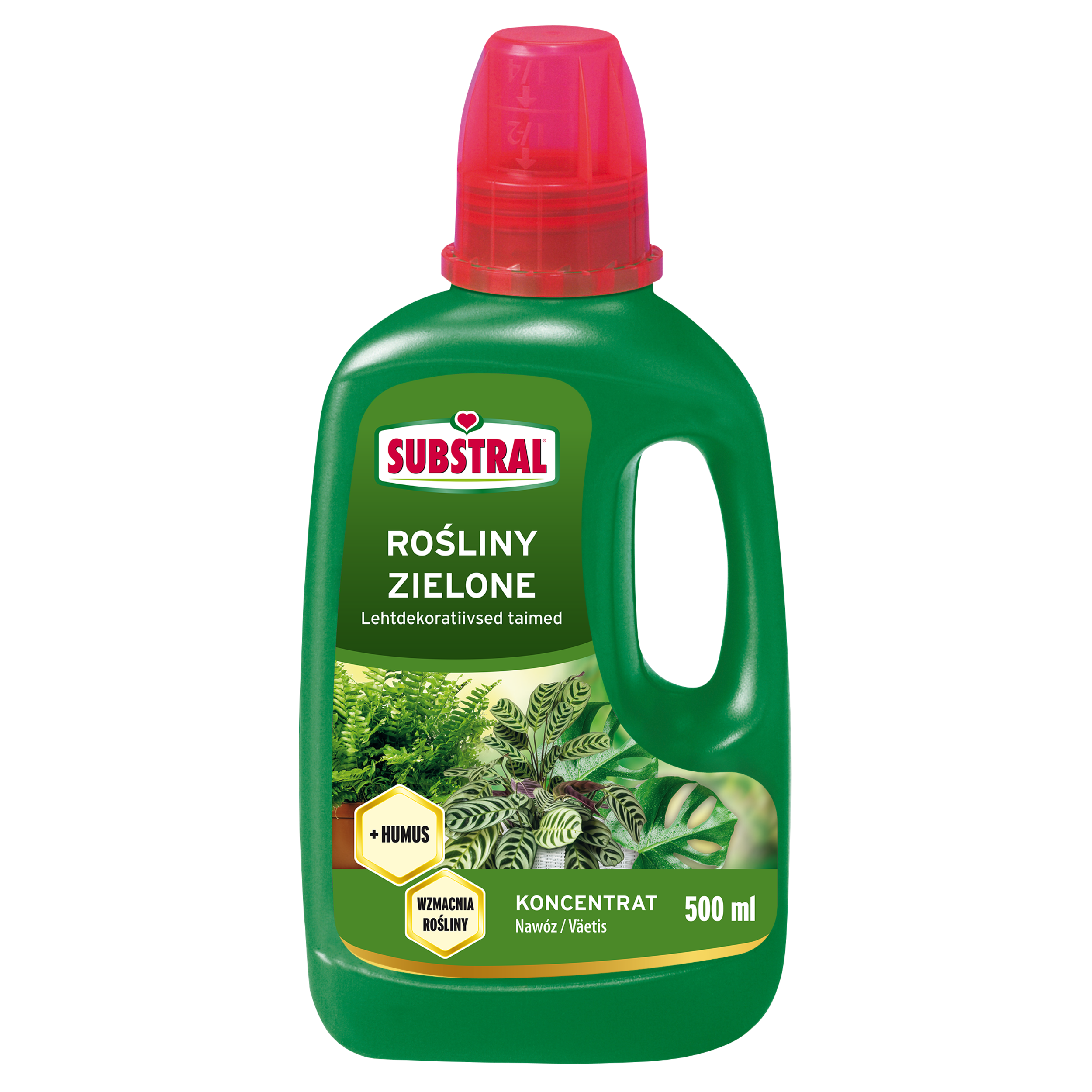 Nawóz do paproci i roślin zielonych 500ml Substral