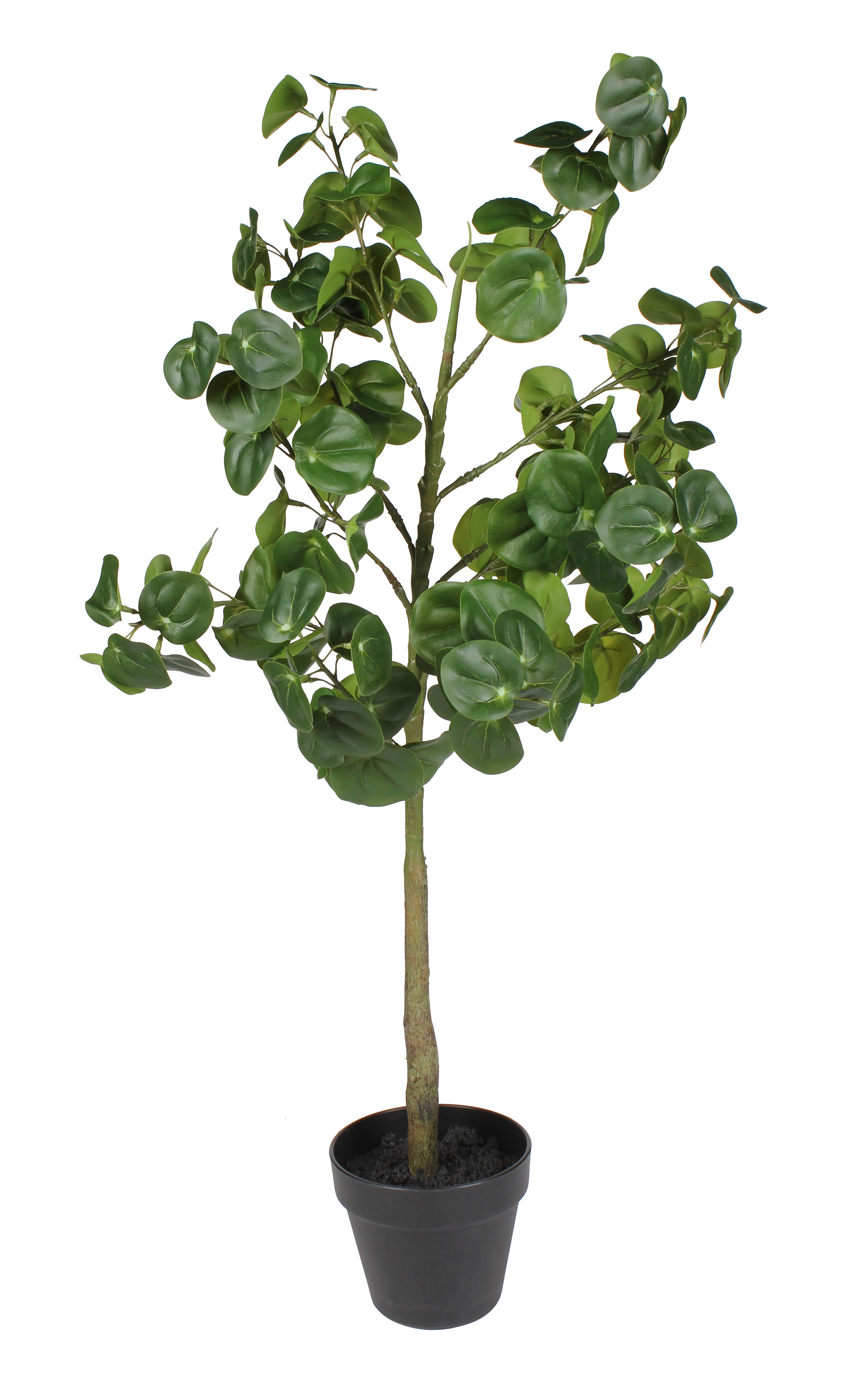 Pilea sztuczna 90cm w doniczce
