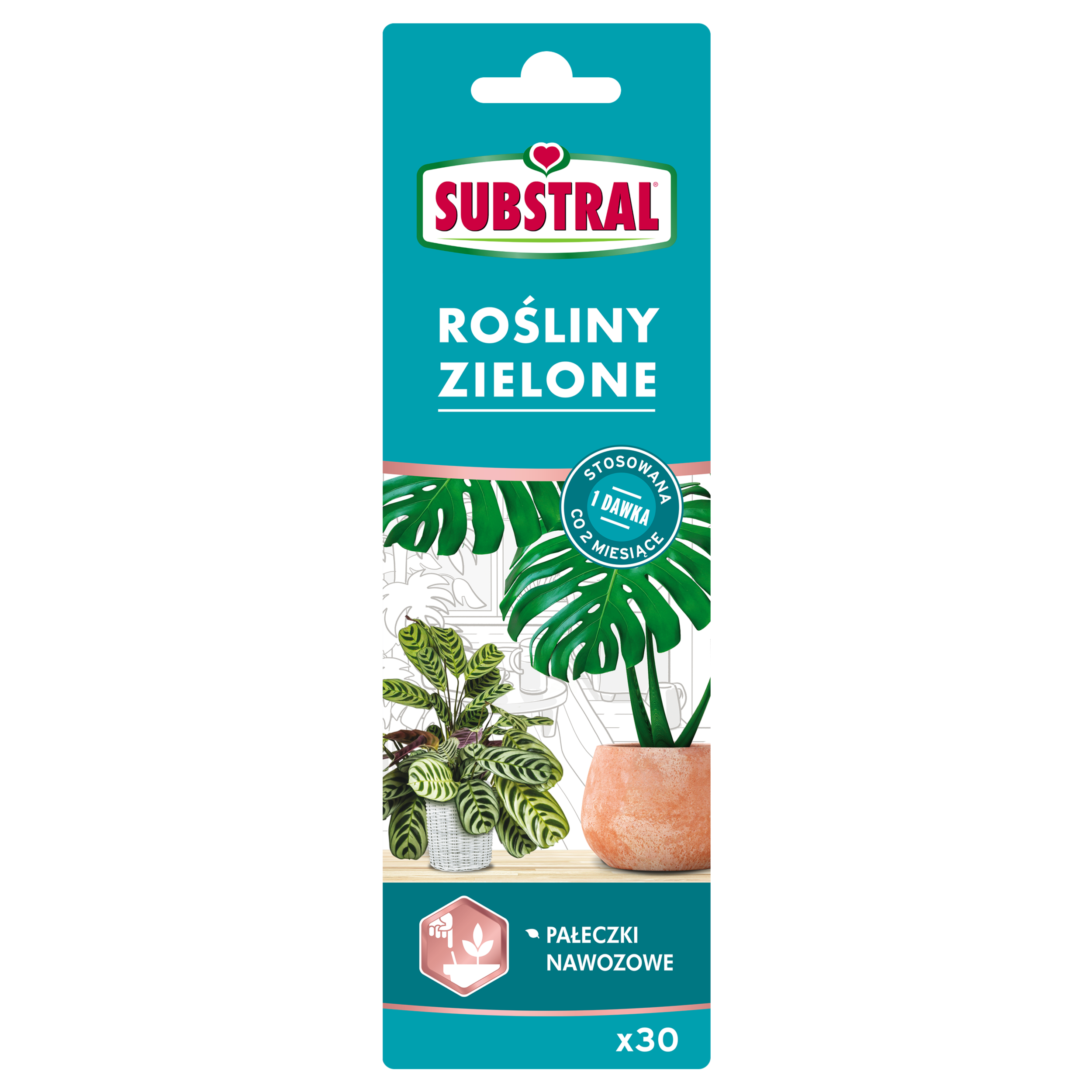 Nawóz do roślin zielonych pałeczki 30szt. Substral