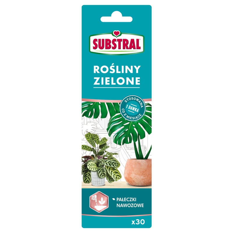 Nawóz do roślin zielonych pałeczki 30szt. Substral