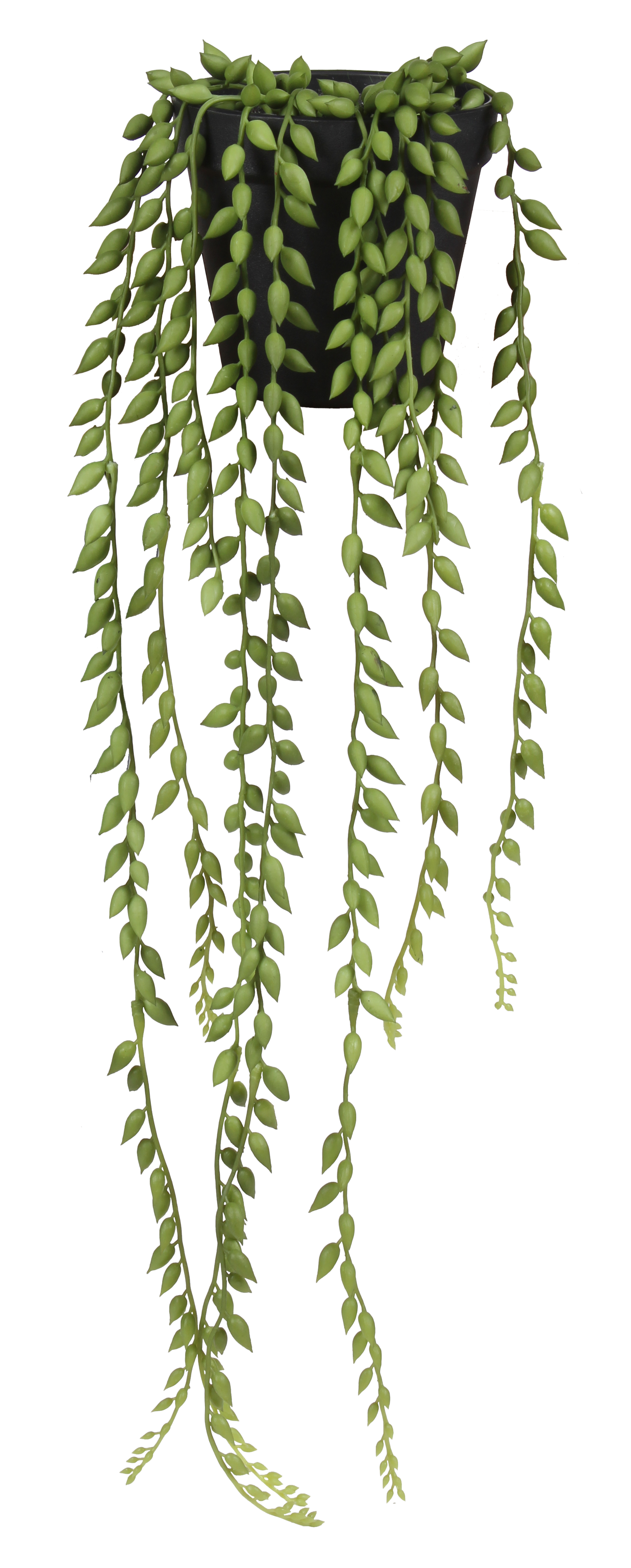 Senecio sztuczne 52cm w doniczce