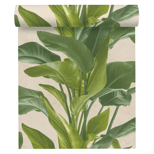 Tapeta Metropolitan 378623 zielona winylowa na flizelinie