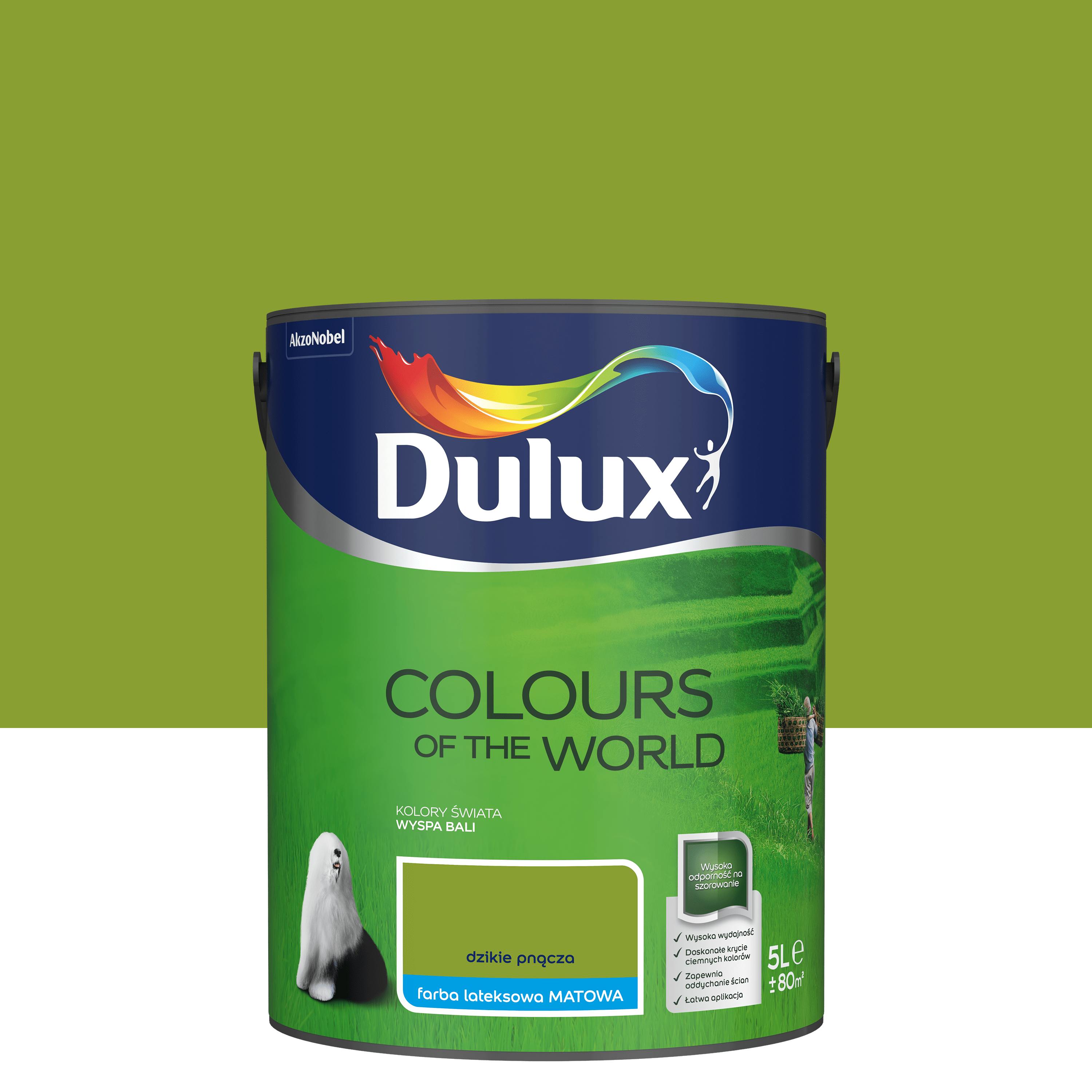 Farba Dulux Kolory świata Dzikie pnącza 5 l