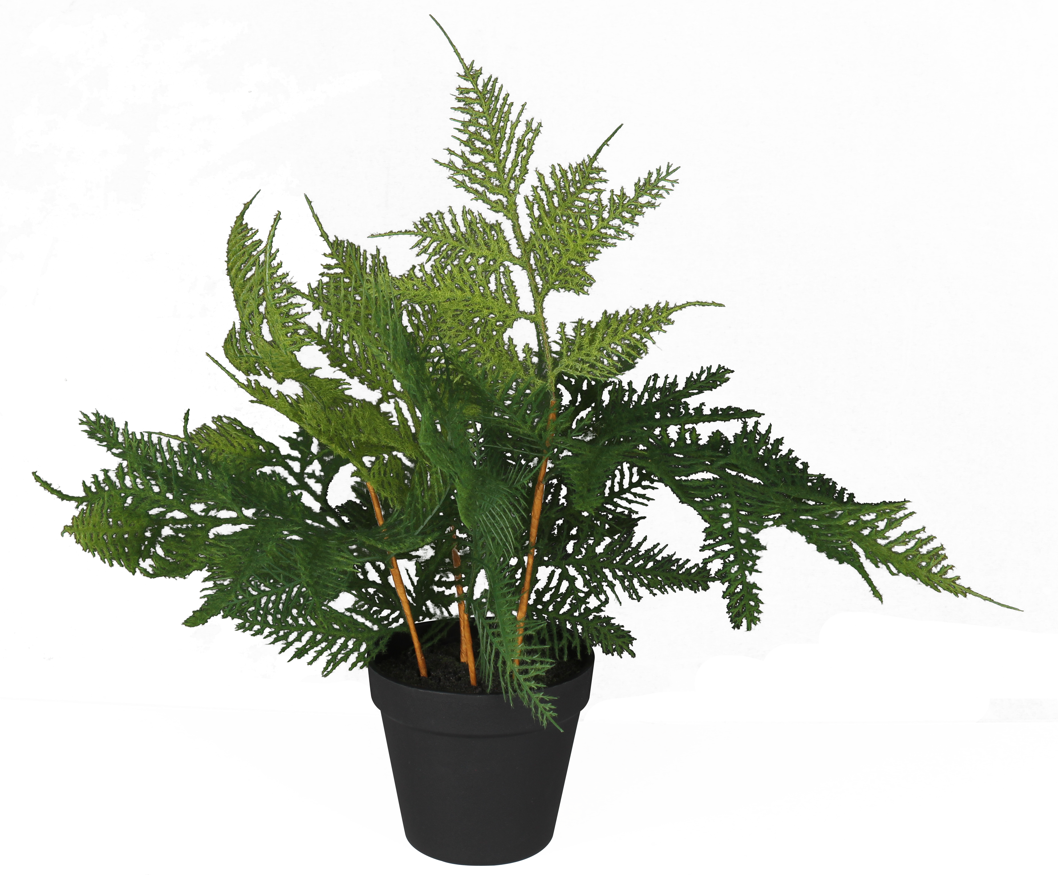 Asparagus sztuczny 45cm w doniczce
