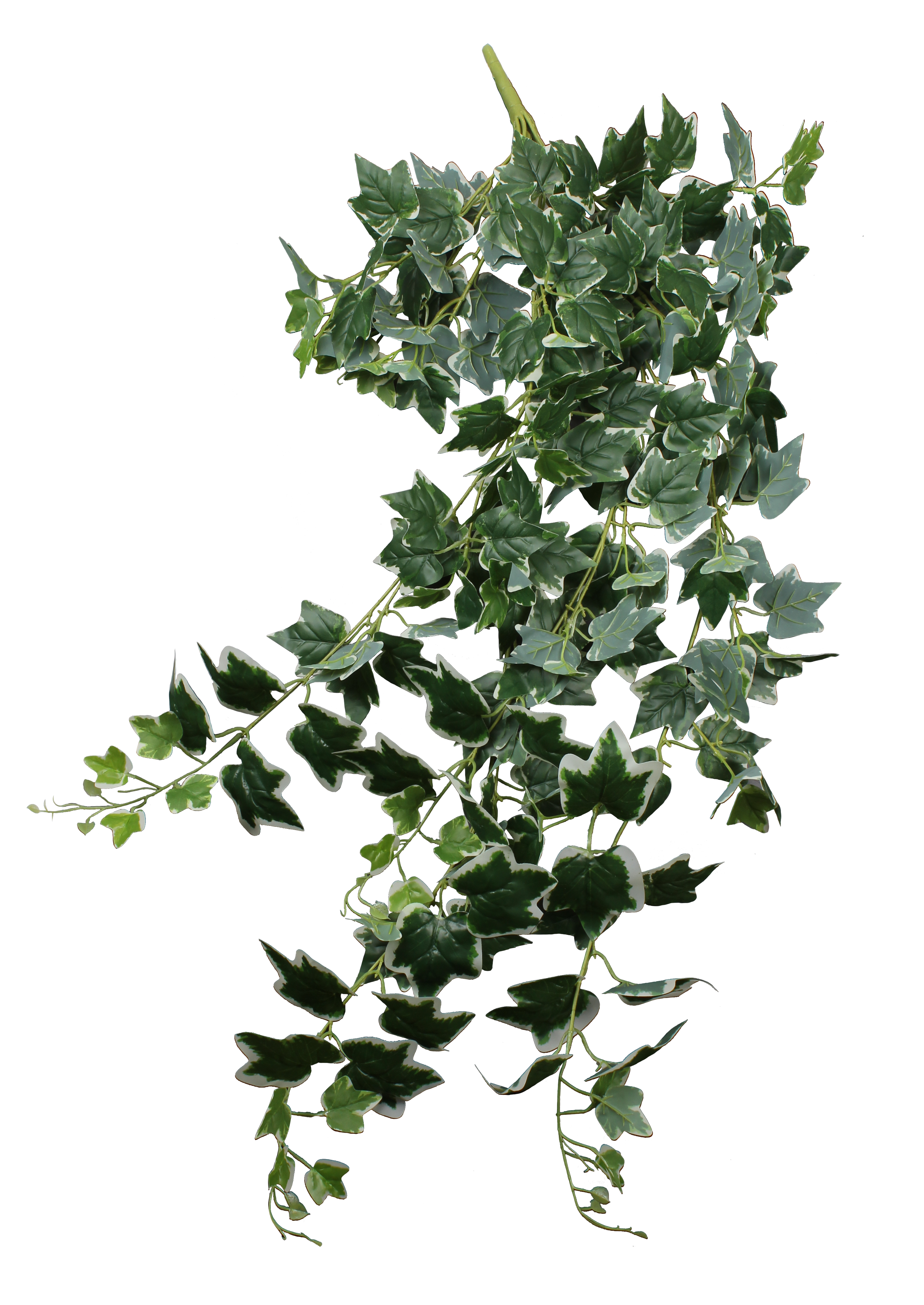 Bluszcz sztuczna gałązka 100cm