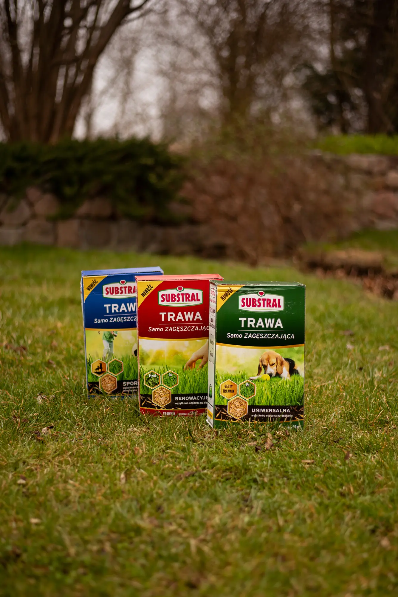 Nasiona trawy uniwersalnej 1kg samozagęszczająca Substral - 2