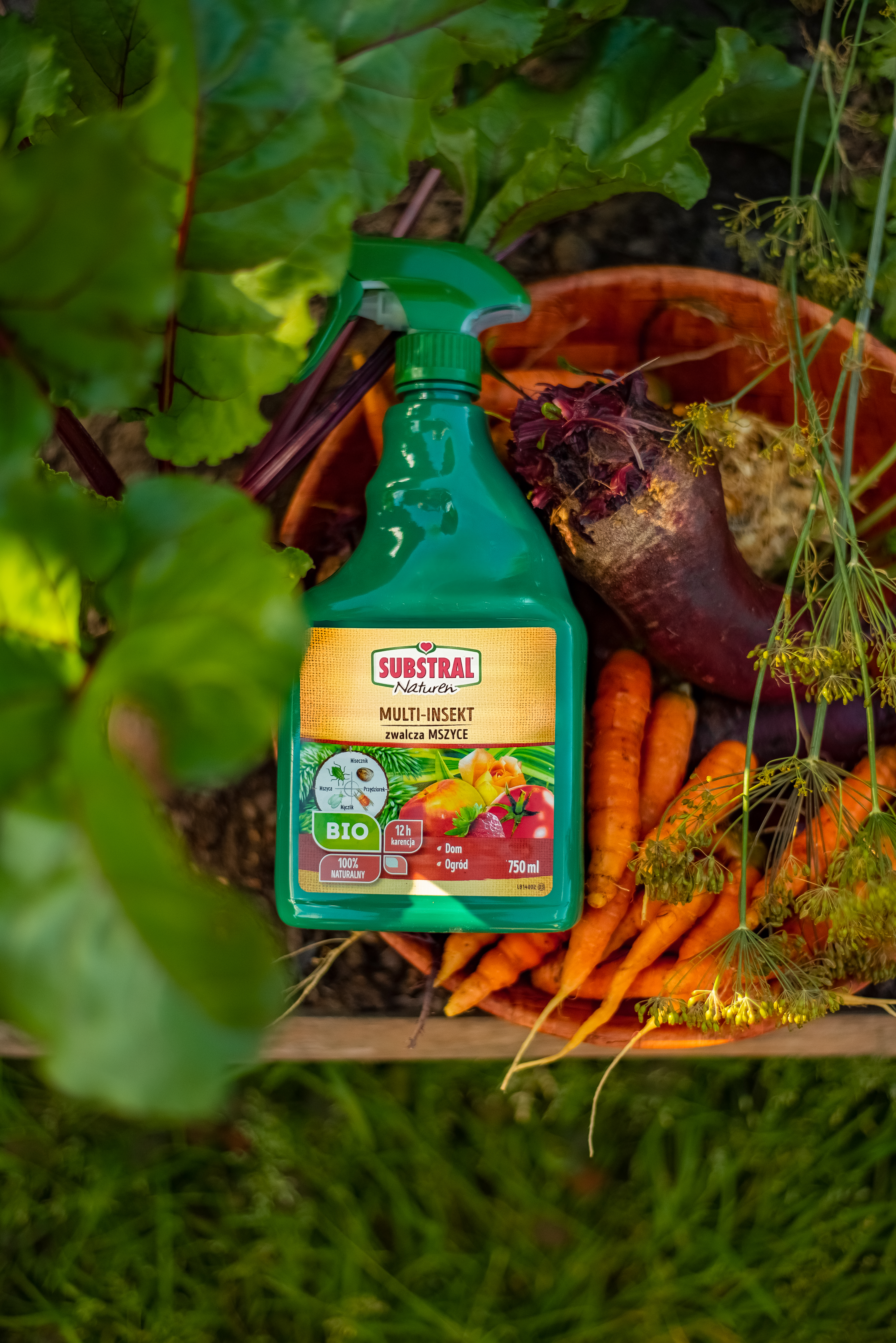 Środek owadobójczy Multi-insekt spray 750ml Substral - 3