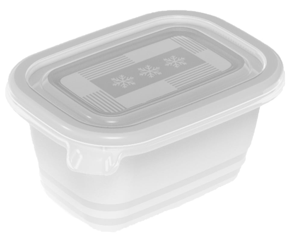 Zestaw pojemników do mrożenia Freeze 0.25 l 6 szt. Rotho