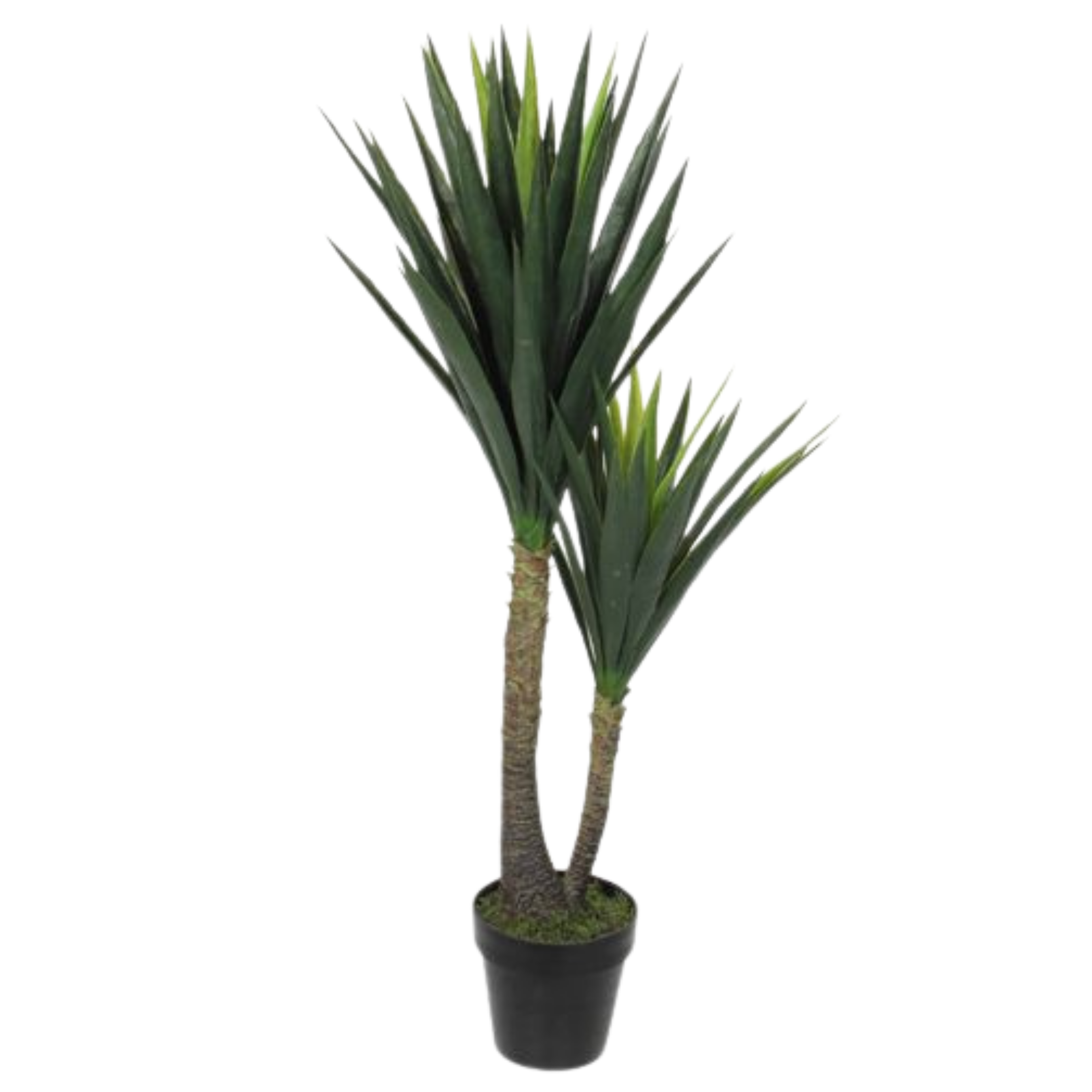 Planta artificial Yuca de 120 cm en maceta de 17 cm - 9