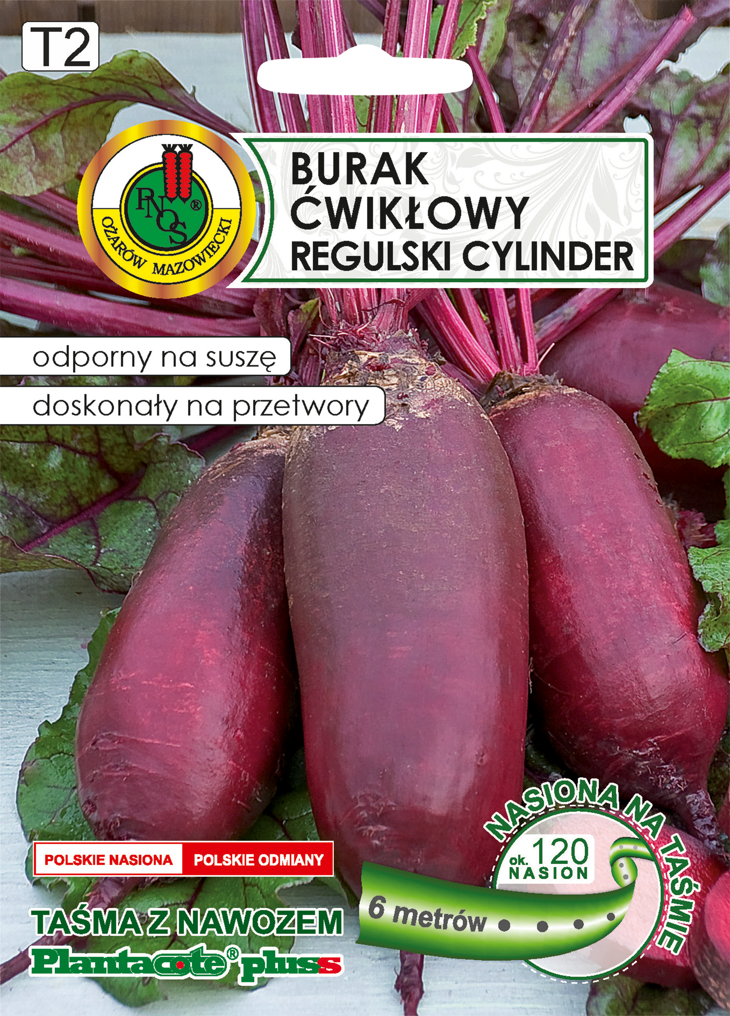 Burak ćwikłowy Regulski Cylinder nasiona Pnos