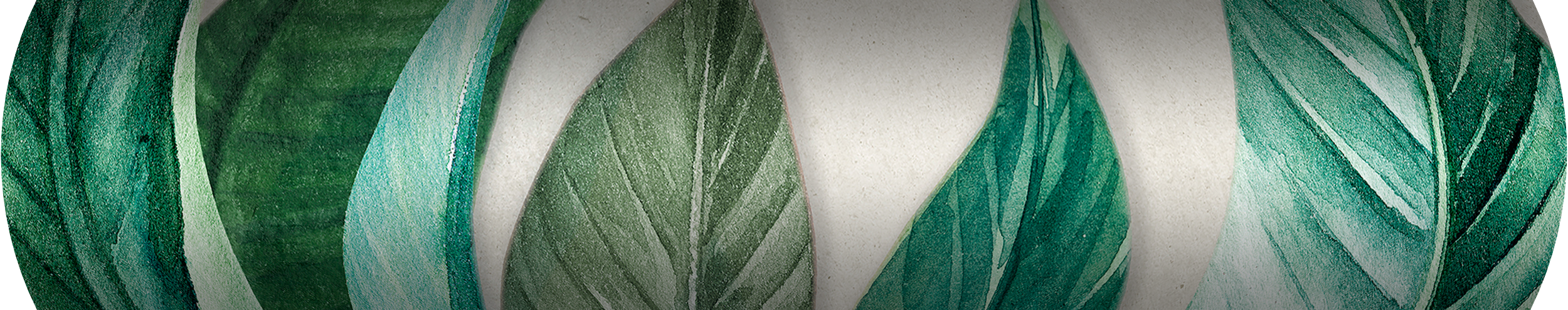 Mural TNT liso lavable naturaleza hojas verde 159 x 280 cm GRANDECOLIFE - 6
