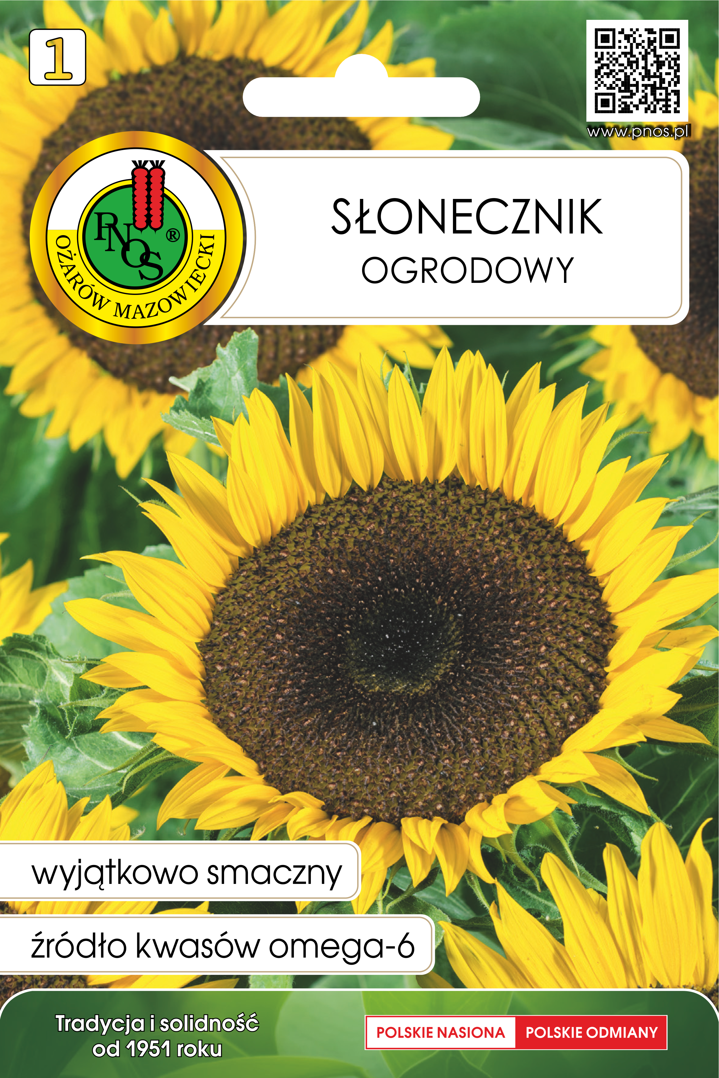 Słonecznik ogrodowy nasiona tradycyjne Pnos