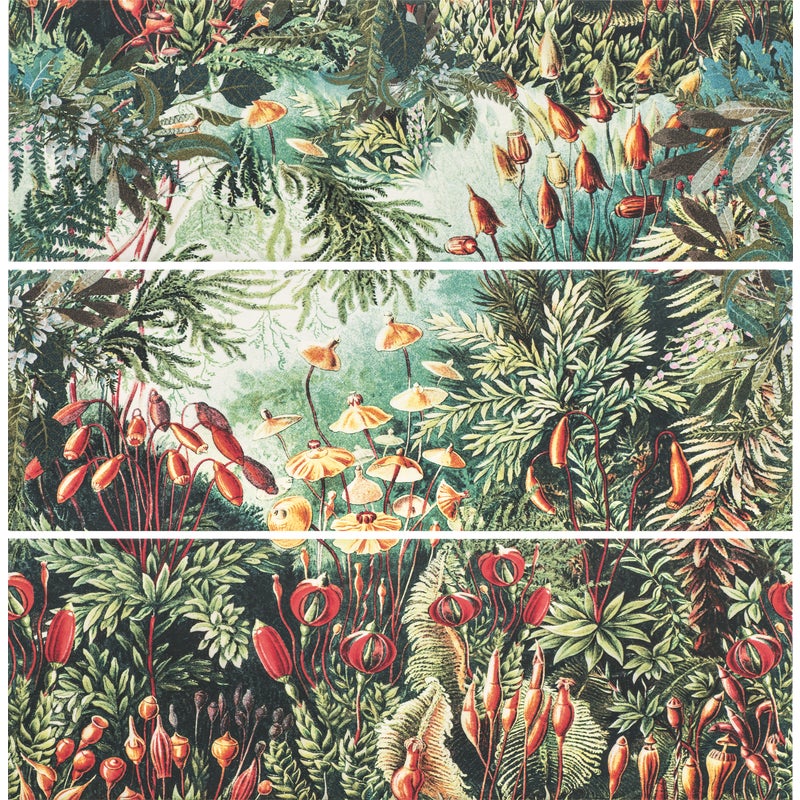 Obraz Wild Jungle 30x90 Saturn