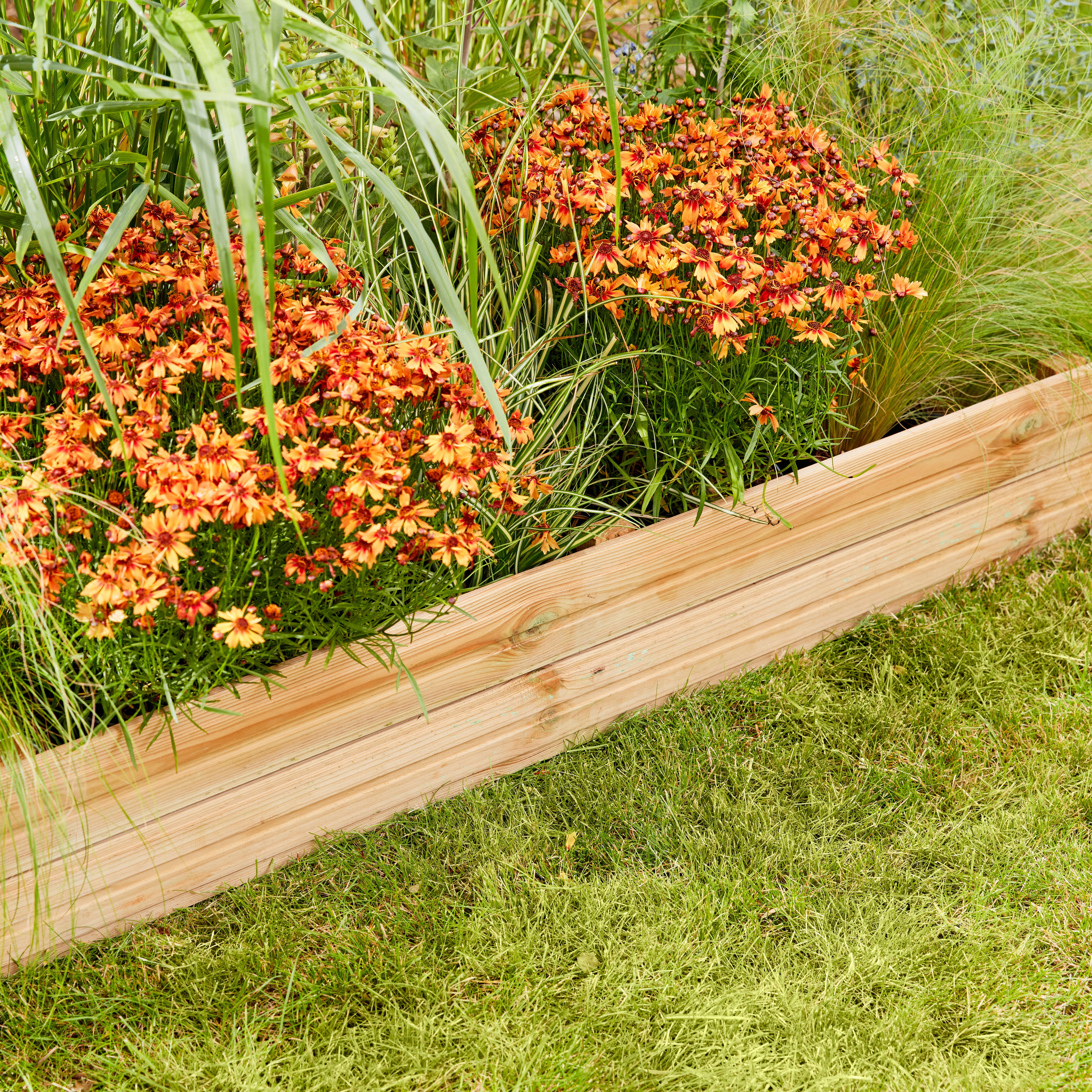 Bordura per piante in legno naturale MERINA L 75 x H 18, Sp 3.9 cm - 2