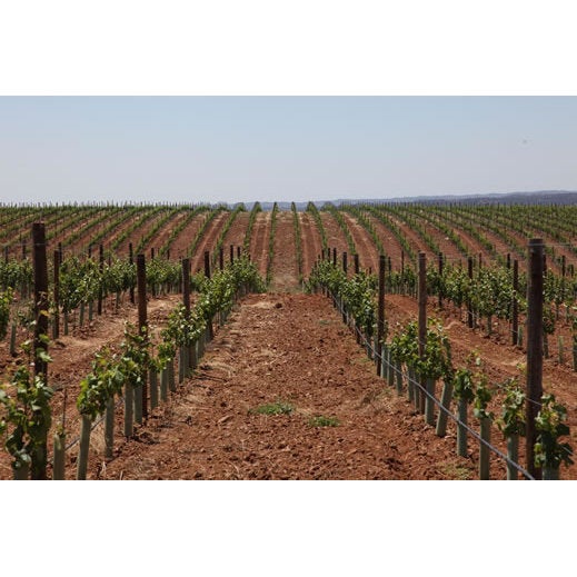 Poste de madeira TORNEADO CARMO 150X6CM - 8