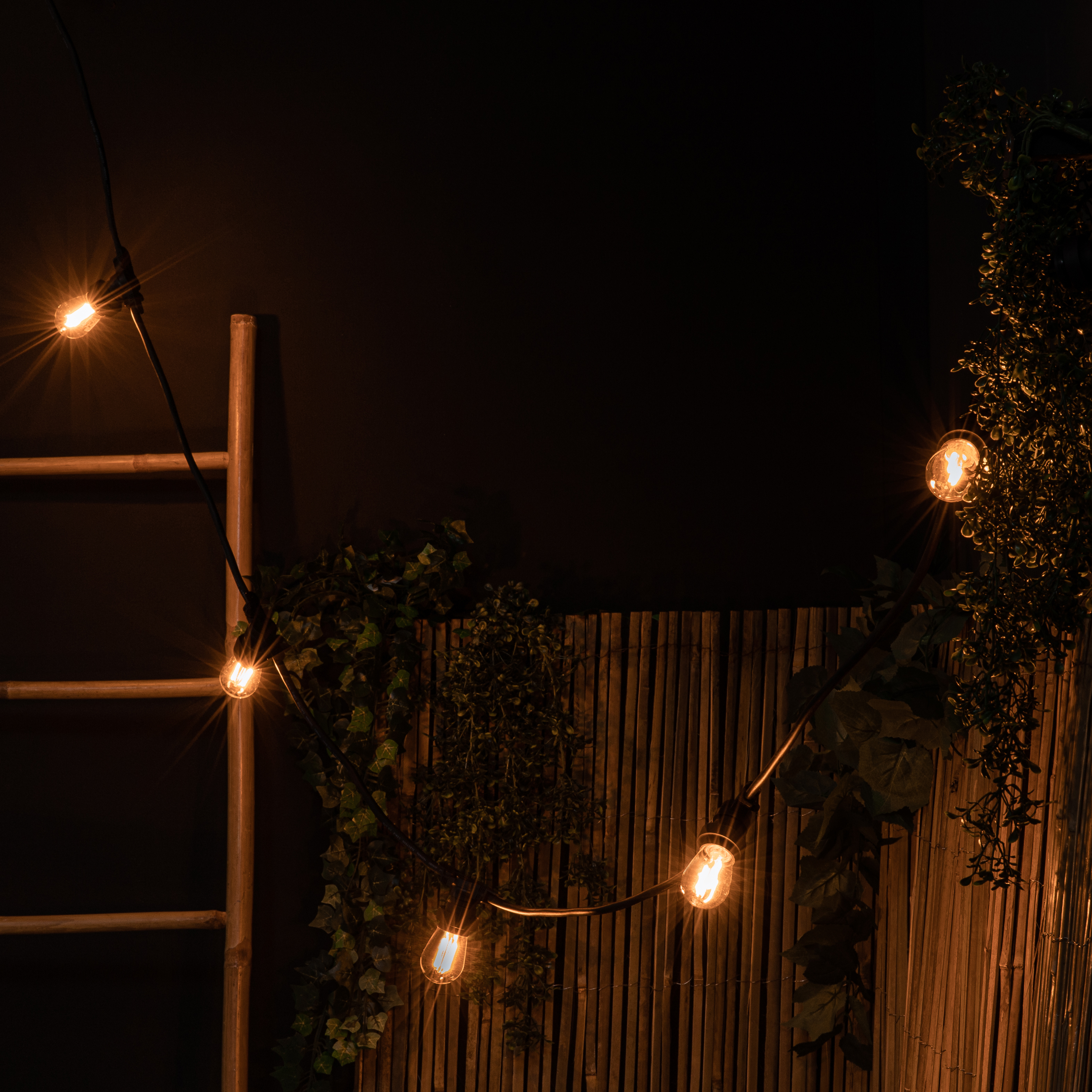 5 ampoules led pour guirlande, E27, 90lm = 10W, IP44, transparentes, LEXMAN - 2