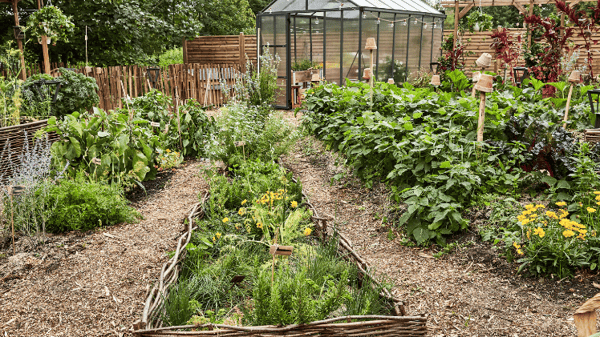 Corde de plantation avec piquets - ACCESSOIRES - Cour et Jardin