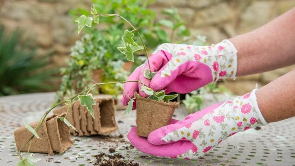 Sac À Végétaux À Gazon Réutilisable Geolia 125 L