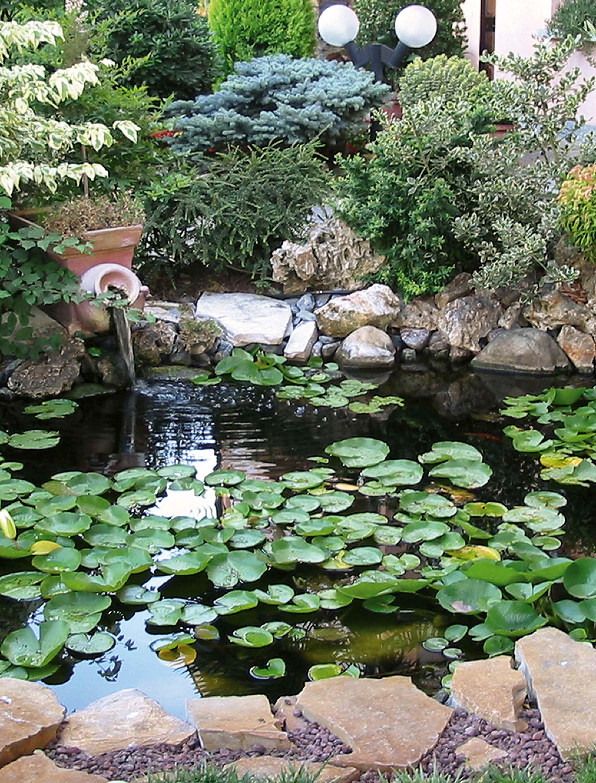 Tubo Flessibile Ondulato Per Laghetto Da Giardino - PVC Nero, 19 Mm X 3 M, Per Pompa E Fontana - 5