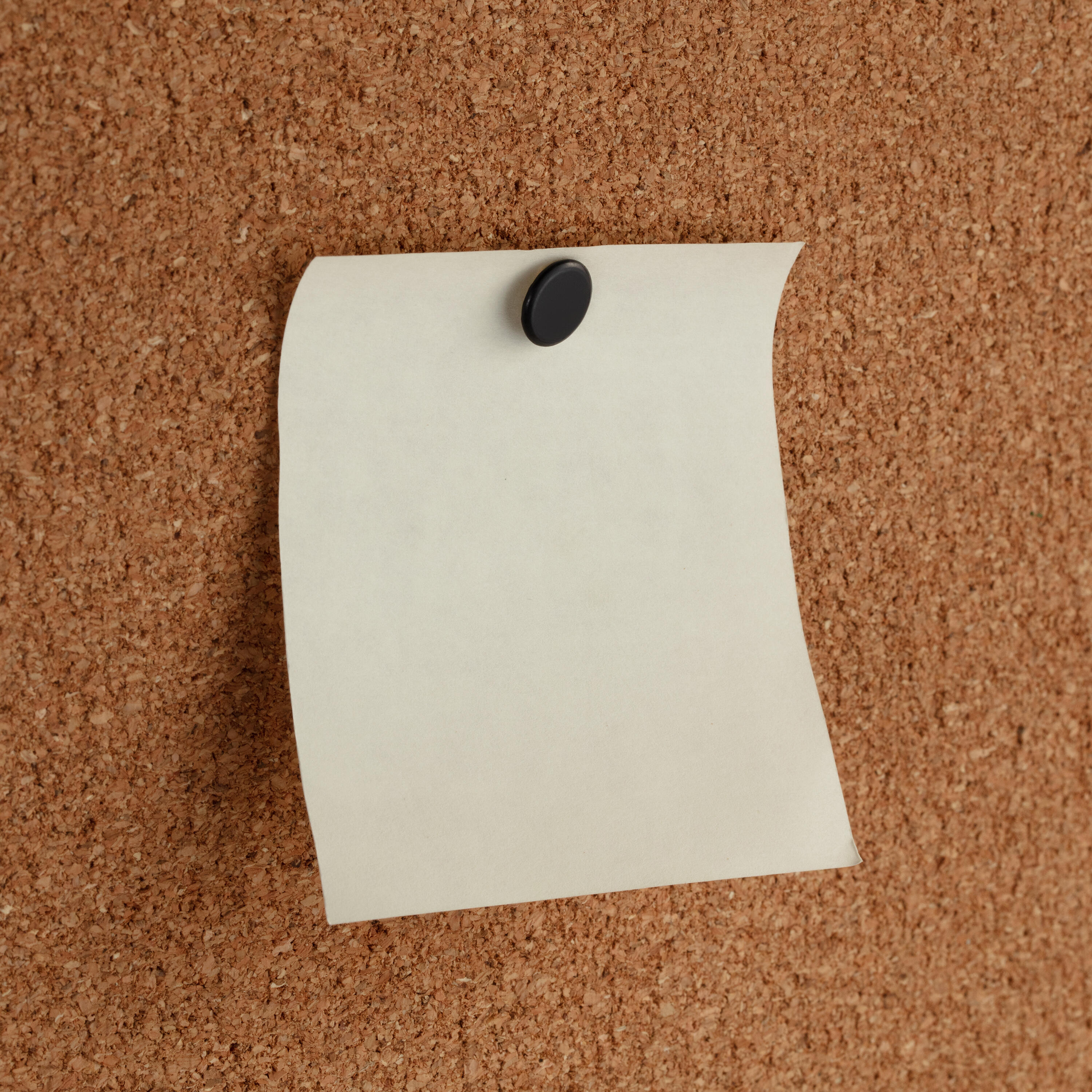 55 CHINCHETA NEGRAS - 4