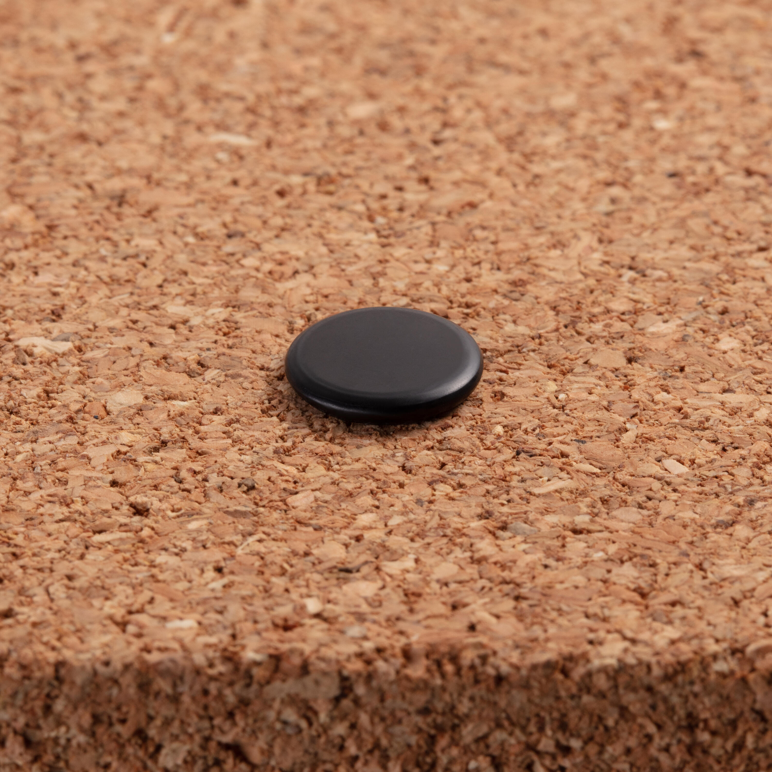 55 CHINCHETA NEGRAS - 2