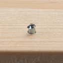 Vite A Filettatura Metrica Con Bullone Testa Tonda In Acciaio Zincato M6x16 Mm 10 Pezzi 82582806 Vite A Filettatura Metrica Con Bullone Testa Tonda In Acciaio Zincato M6x16 Mm 10 Pezzi 82582806