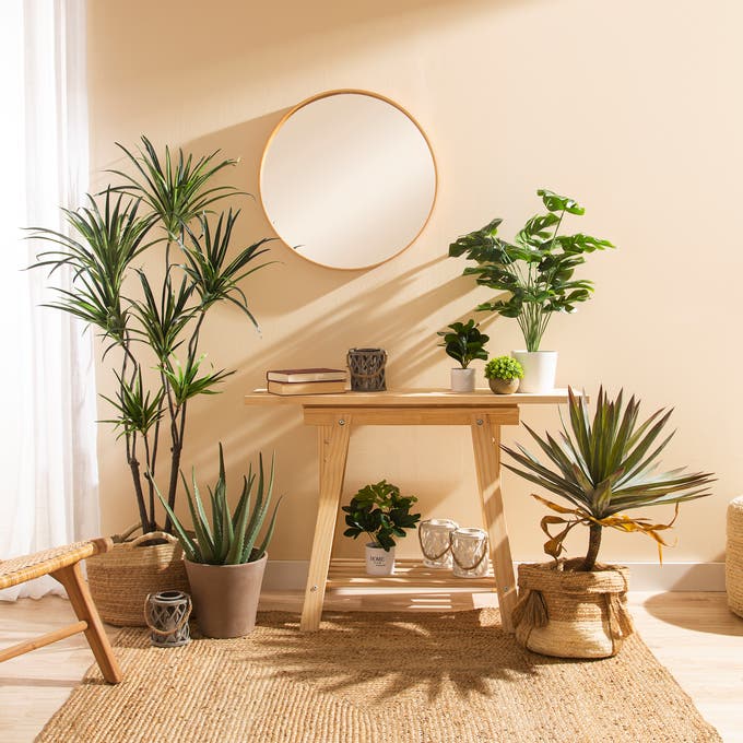Decorar con plantas