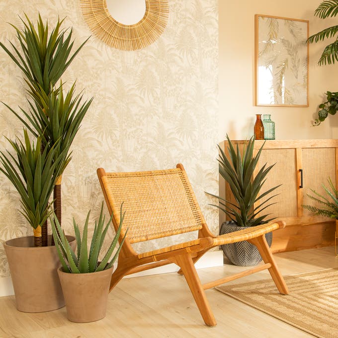 Decorar con plantas