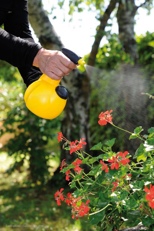 Pulvérisateur Manuel - Pression Pour Pelouse-Jardin-Antiparasitaire