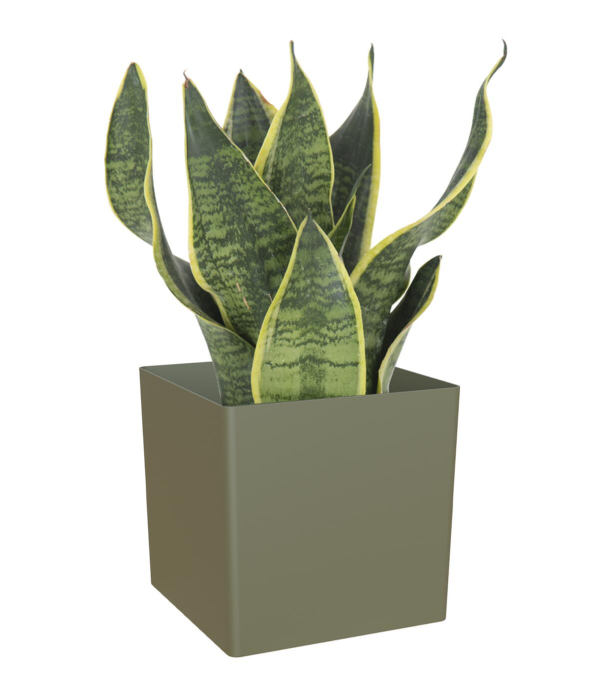 Maceta de polipropileno oslo verde 21.5x21.5 cm
