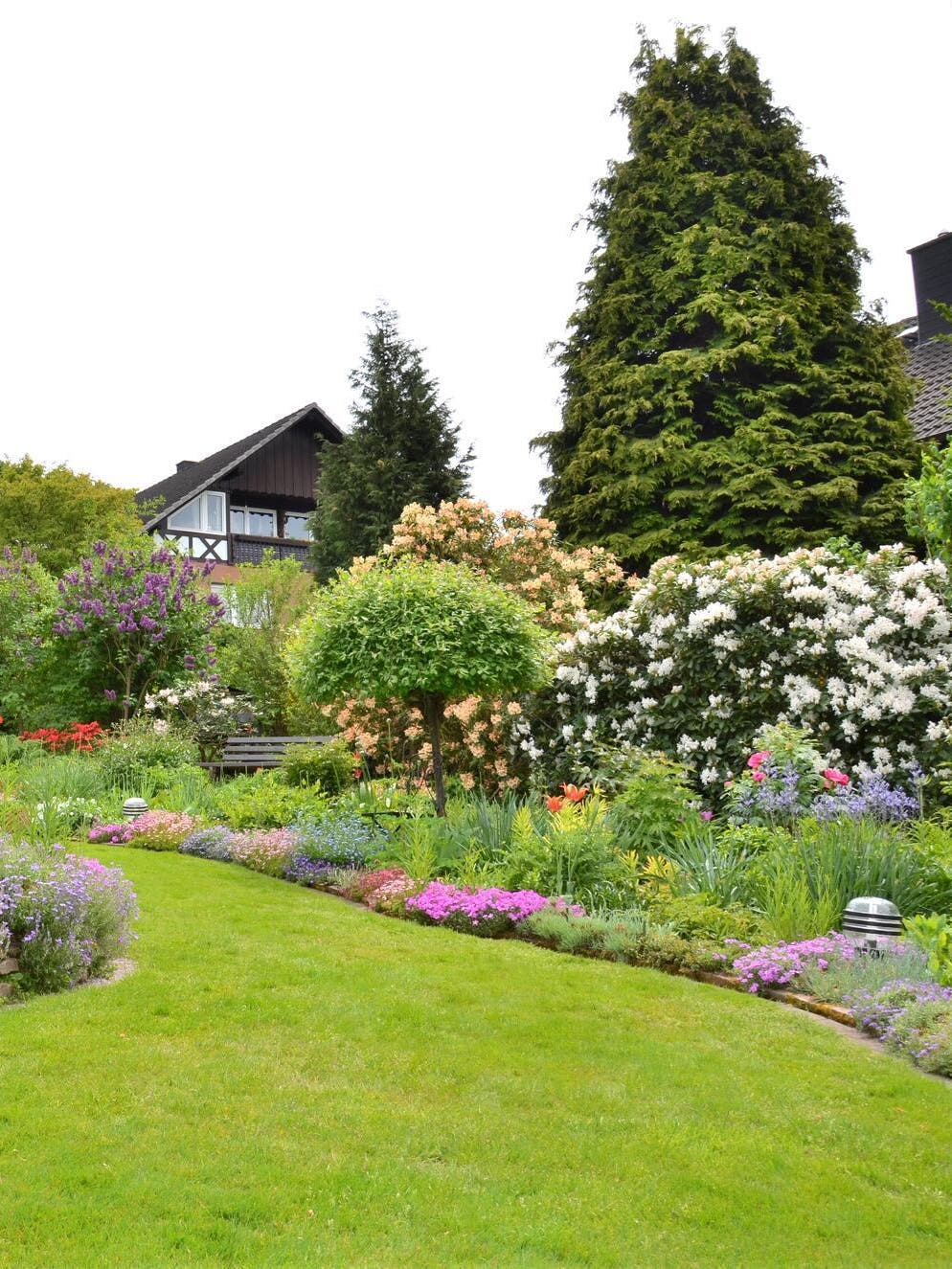 Quattro attrezzi da giardinaggio essenziali e come usarli per ottenere un  giardino perfetto 