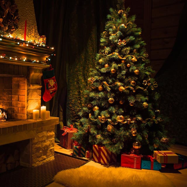 Albero di Natale: folto è più bello!