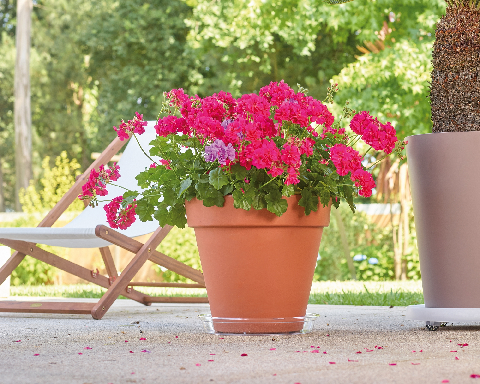 Plato para maceta y jardinera de polipropileno transparente Ø 10 cm - 3