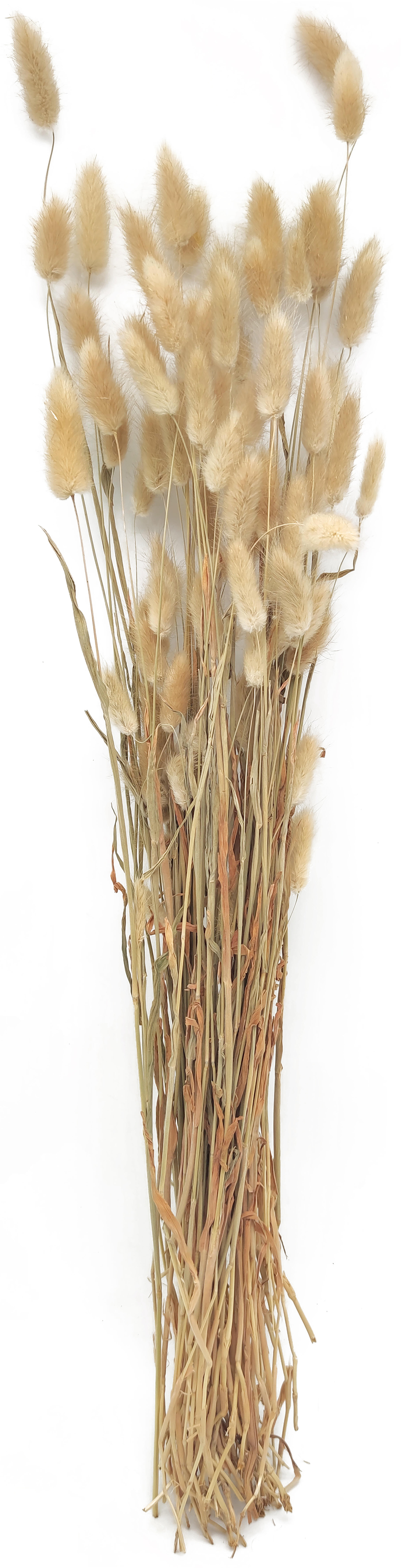 Vara artificial de flor seca de 70 cm de altura