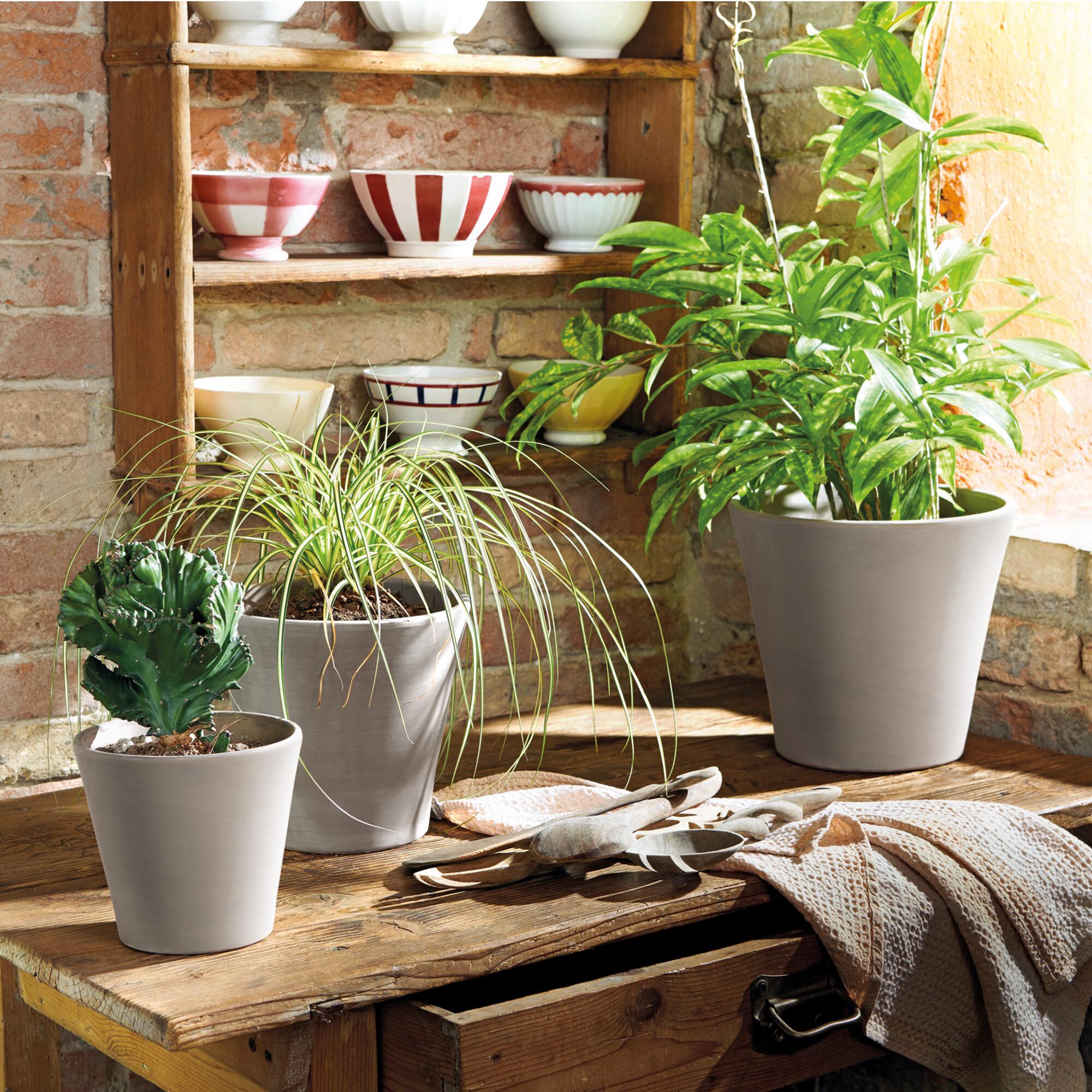 Maceta de cerámica Vaso cono gris 16 cm - 3