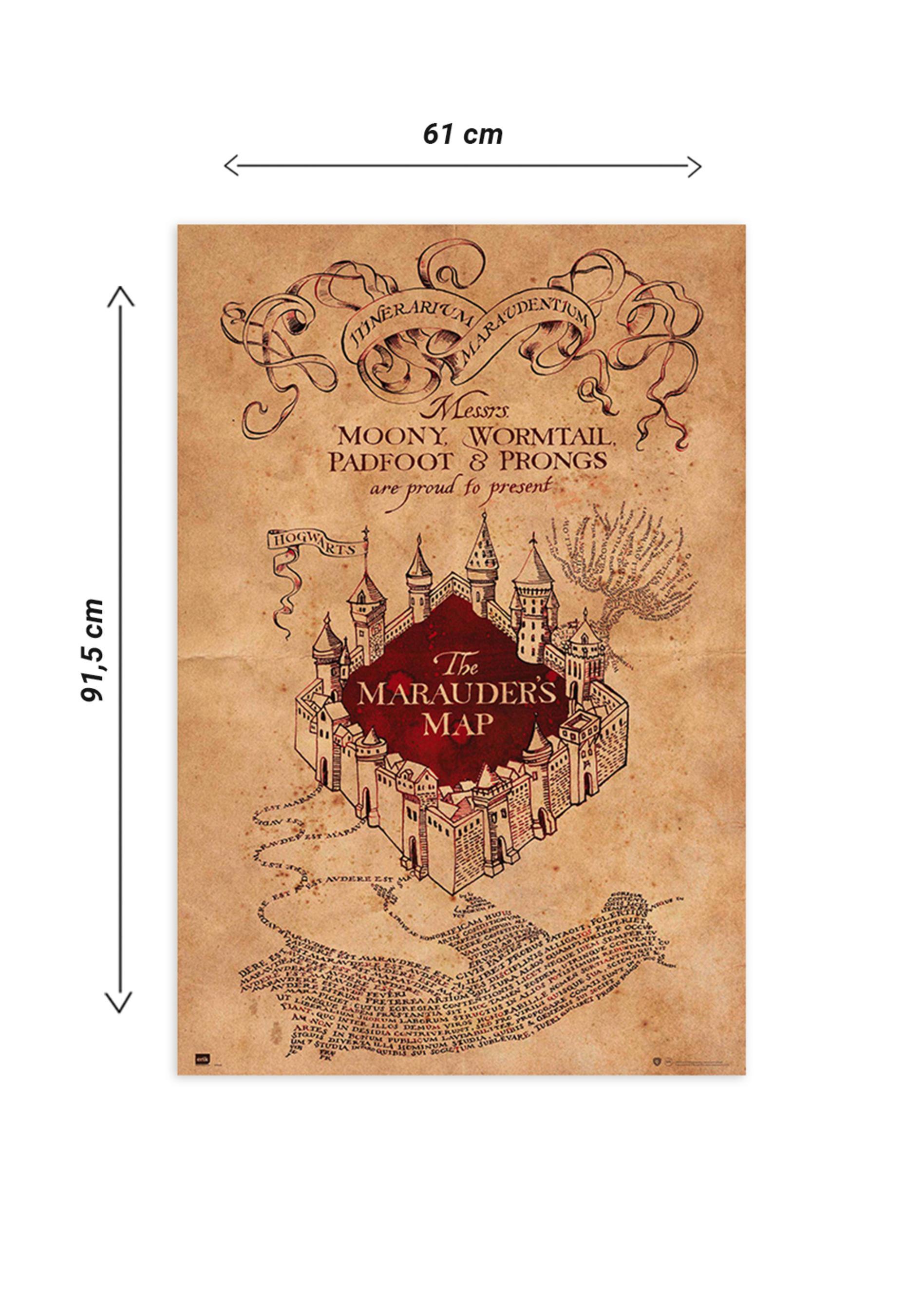 Póster Cine rectangular de 61 x 91.5 cm. Papel Harry Potter Mapa Merodea multicolor - 3