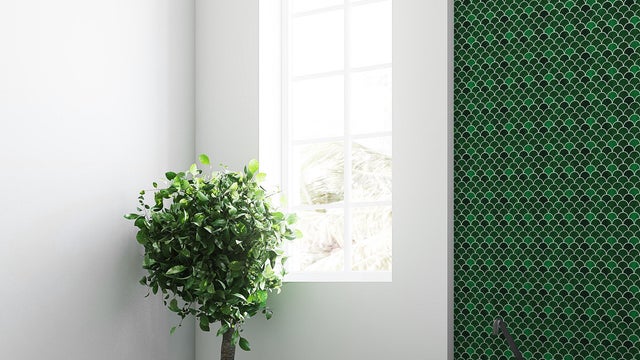 plantas