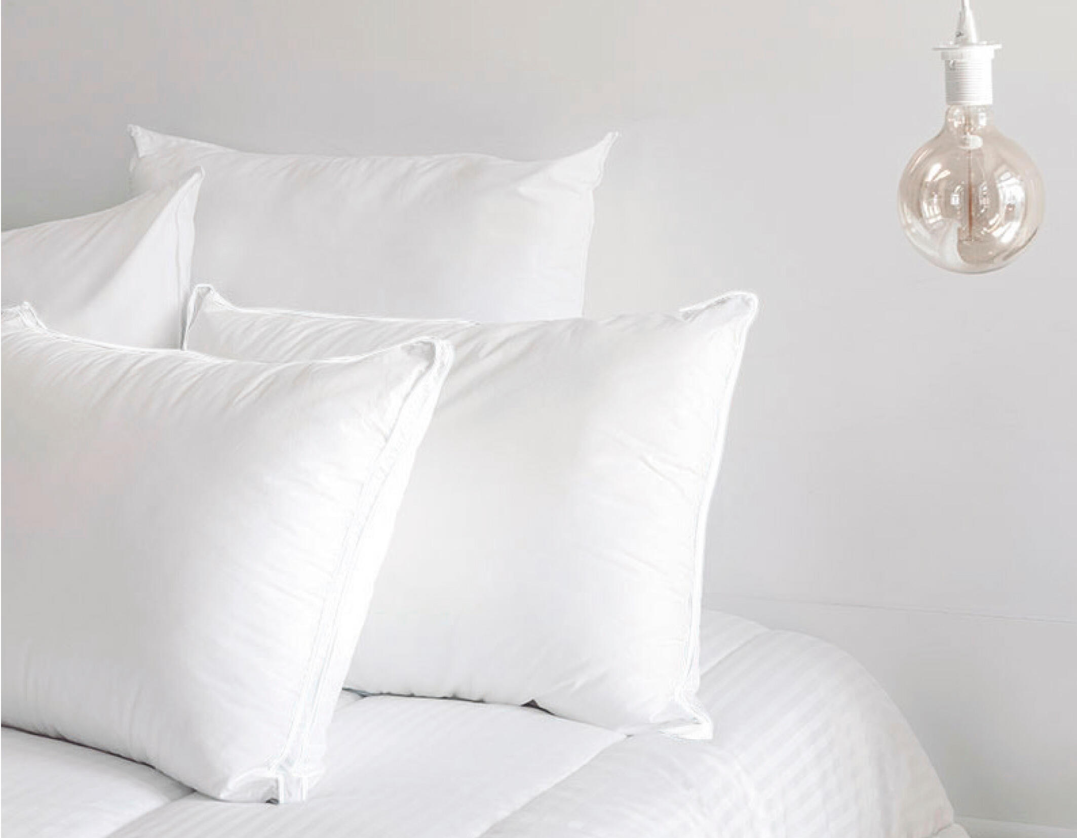 Almohada rectangular Pluma plumón 40 x 90 cm - 2