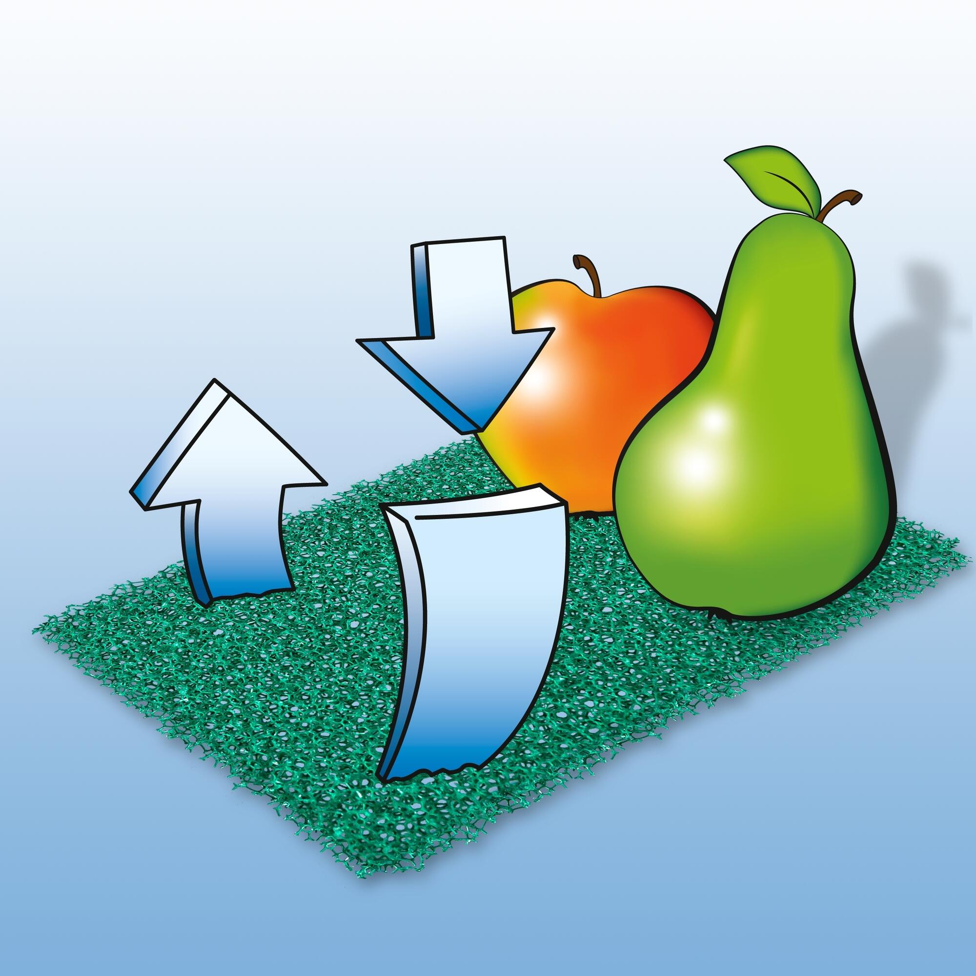 Protector de alimento fresco WENKO de poliuretano verde 29.5x46cm - 16