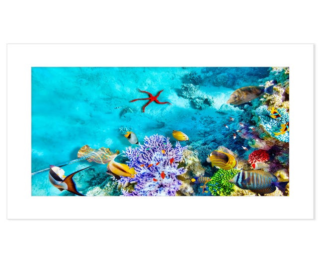Arrecife de coral peces tropicales vida oceánica | Foto Premium Arrecife de coral peces tropicales vida oceánica | Foto Premium