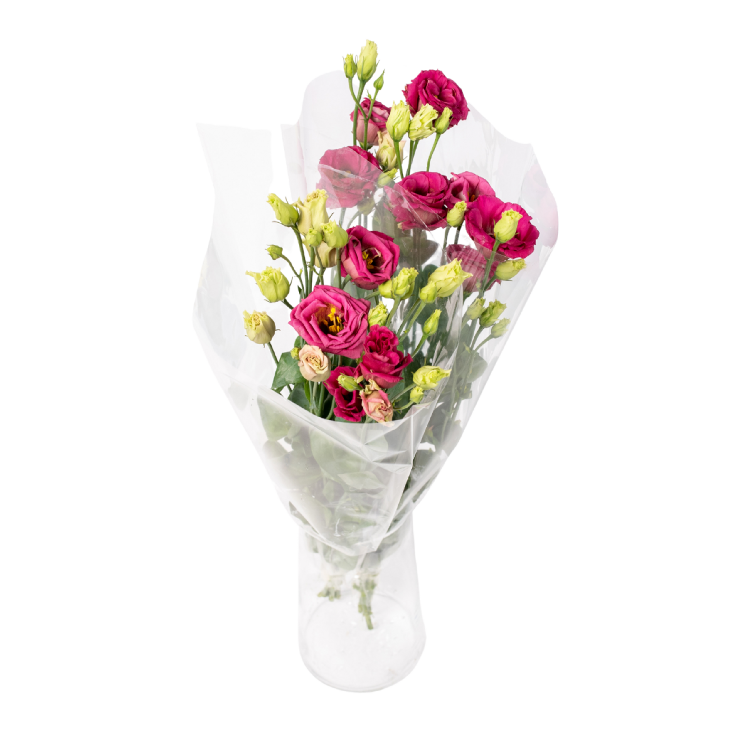 Cięte kwiaty 3 szt. Eustoma 50 - 60 cm
