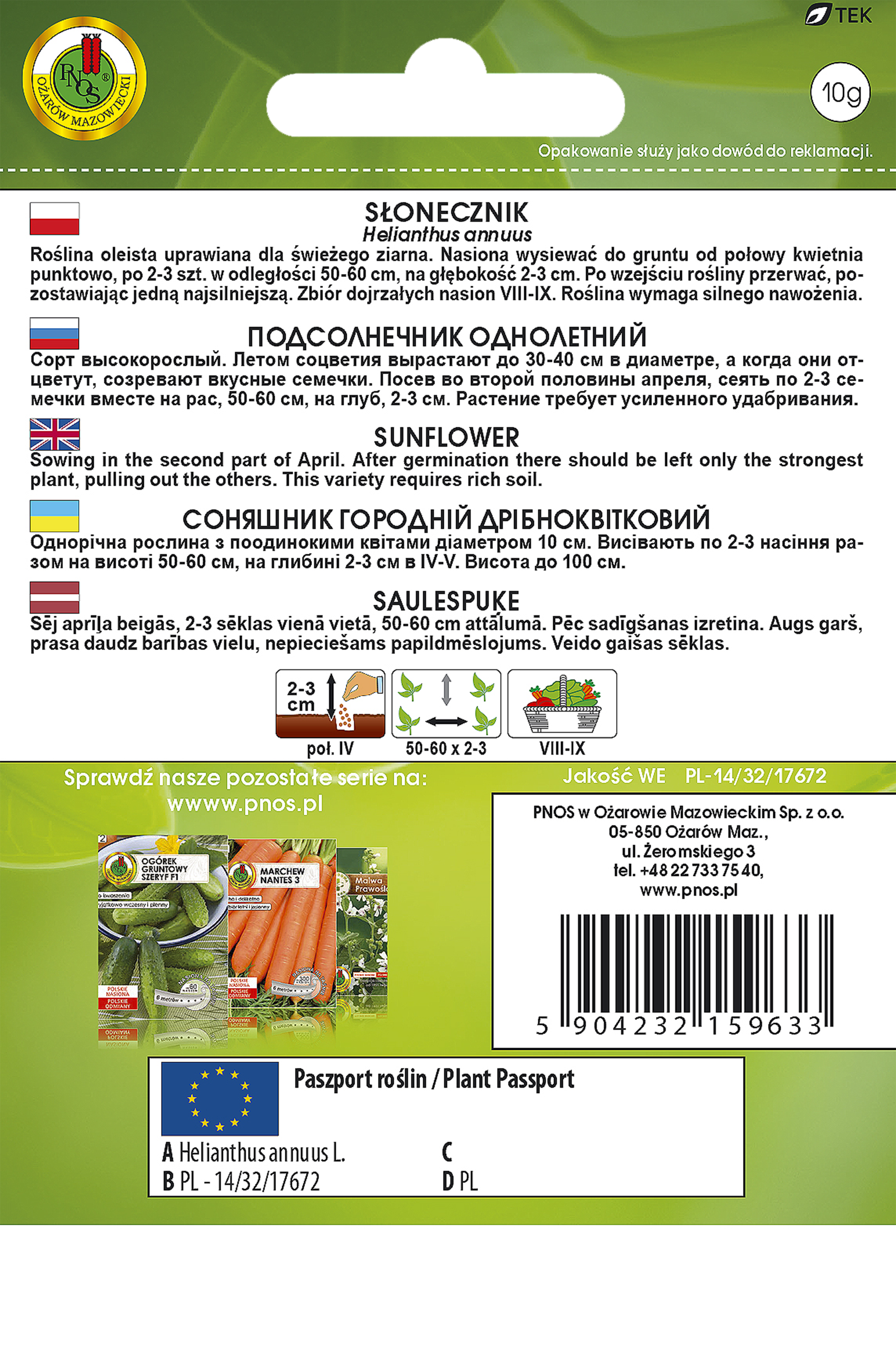 Słonecznik ogrodowy nasiona tradycyjne Pnos - 2
