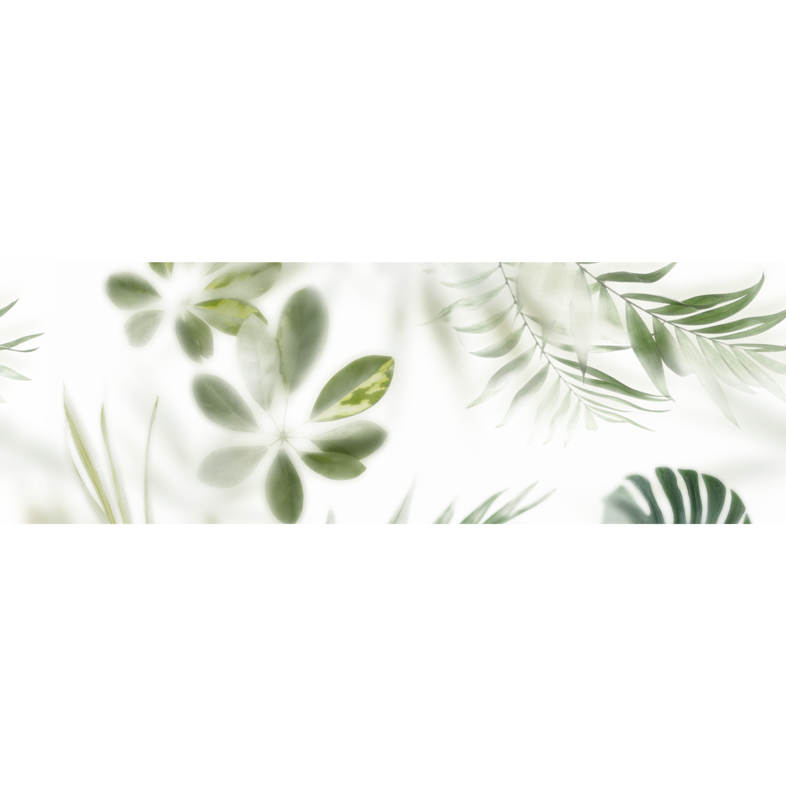 Dekor Frosted Palm 1Z2 30x90 Alfa -Cer