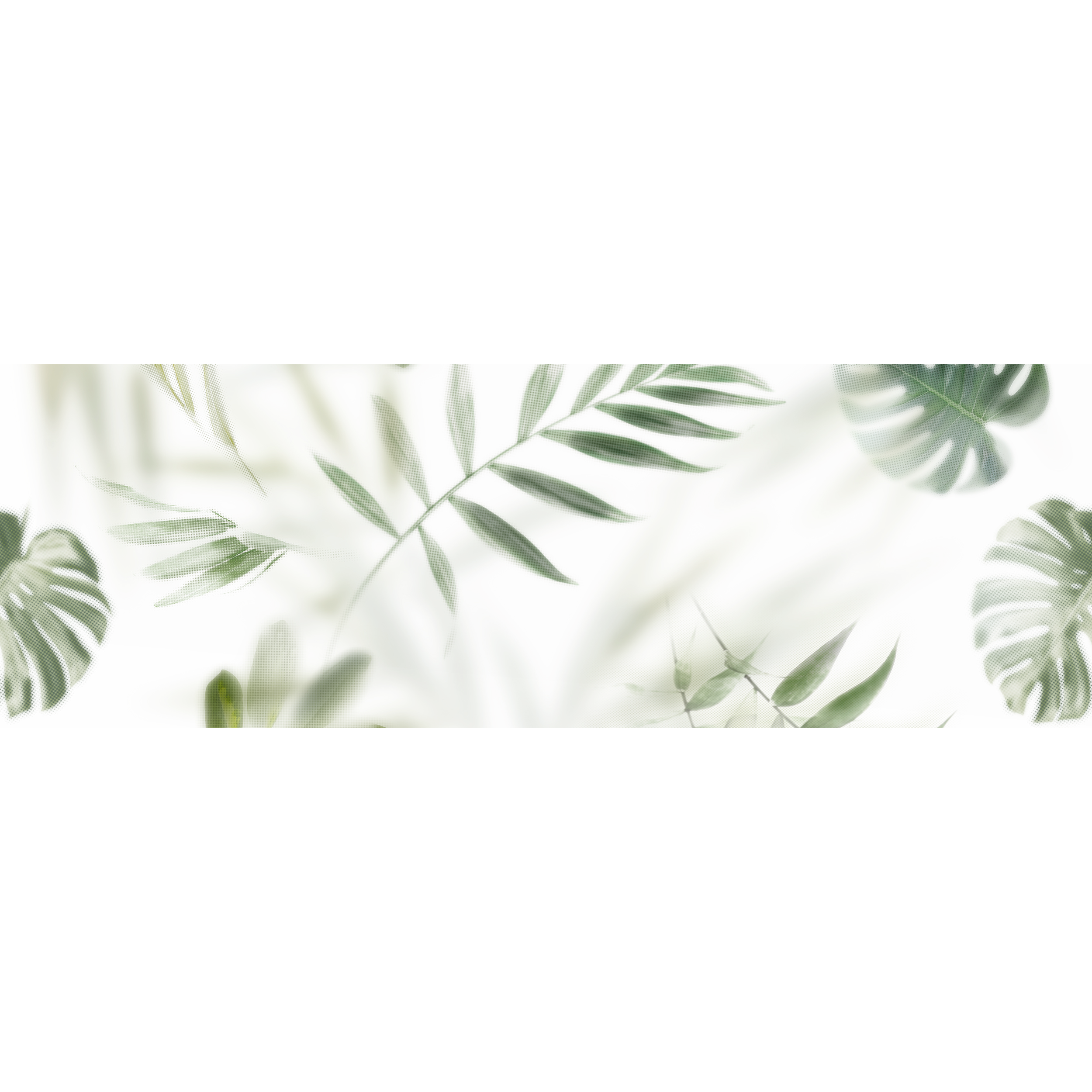 Dekor Frosted Palm 2Z2 30x90 Alfa -Cer