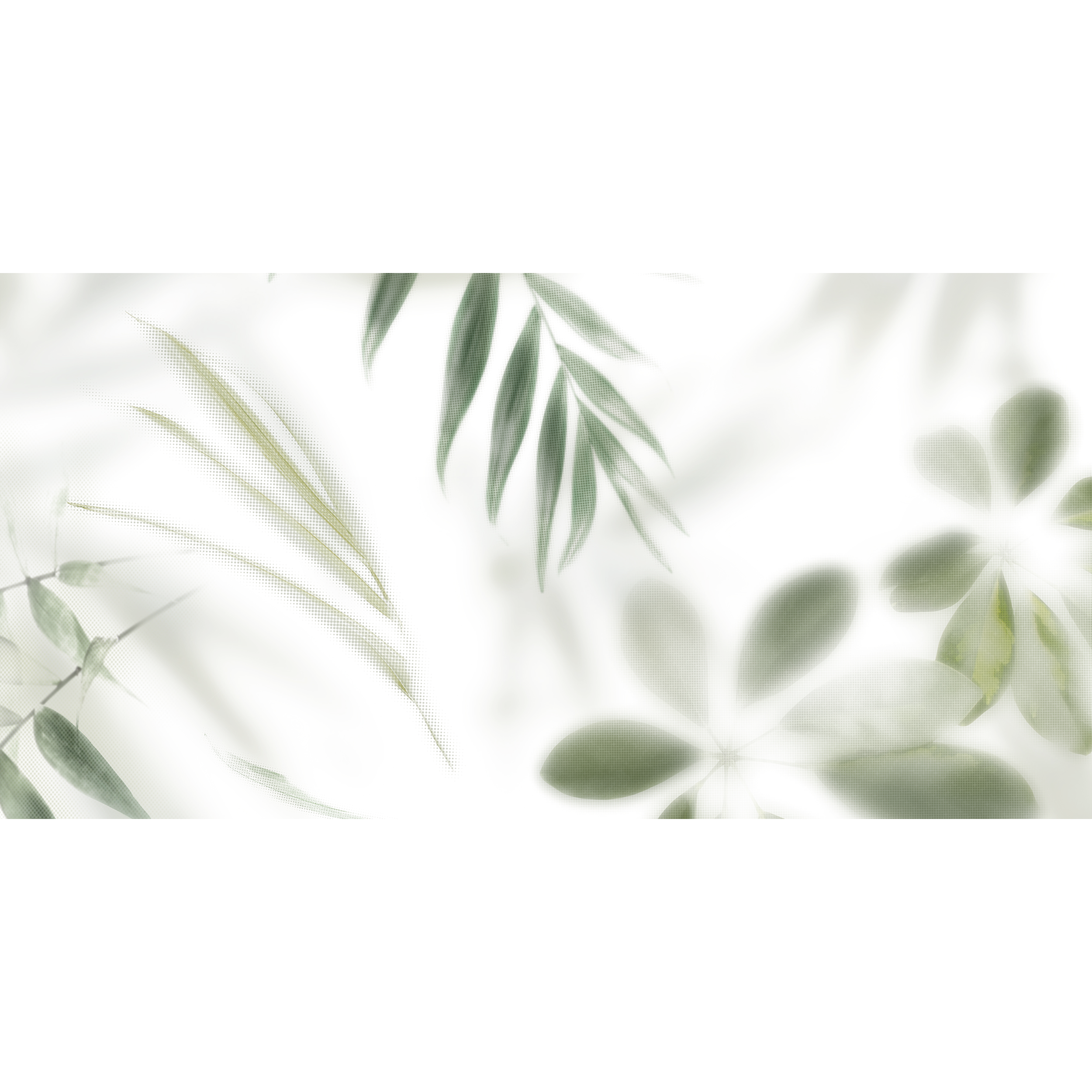 Dekor Frosted Palm 1Z3 30x60 Alfa -Cer