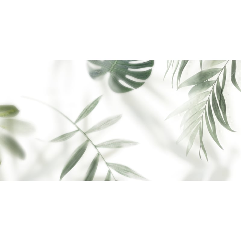 Dekor Frosted Palm 3Z3 30x60 Alfa -Cer